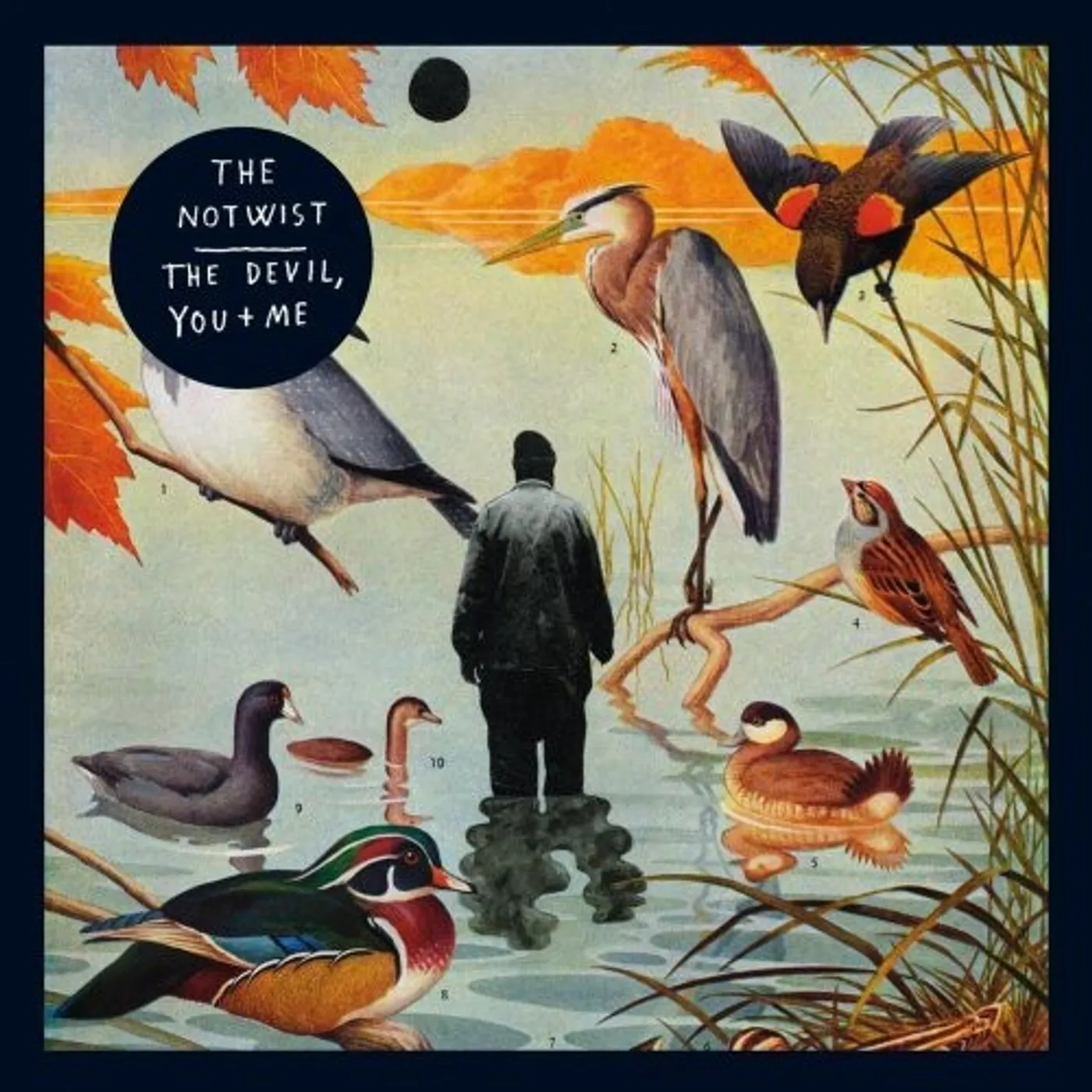 The Notwist YOU THE DEVIL & I Vinyl Record