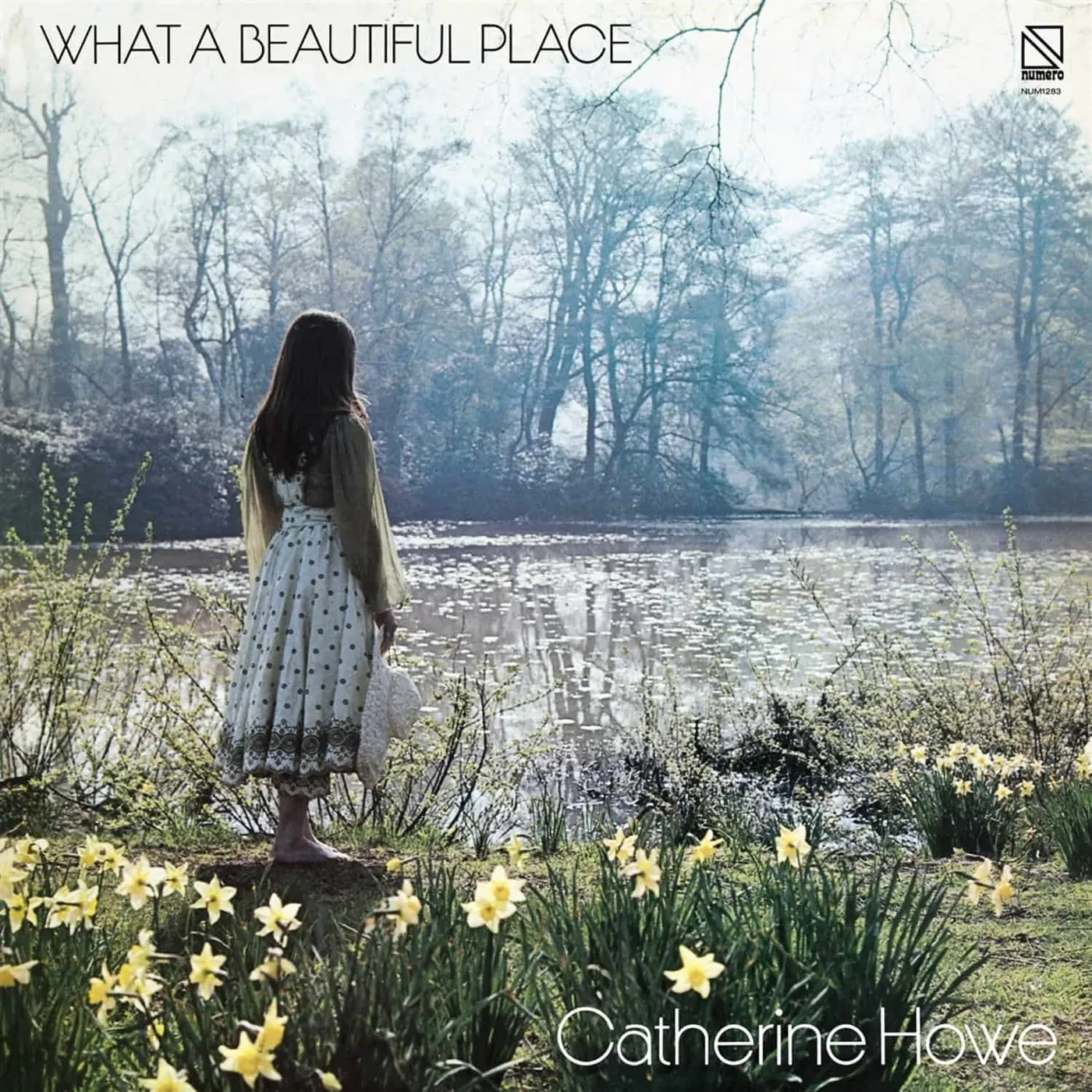 Catherine Howe WHAT A BEAUTIFUL PLACE Vinyl Record