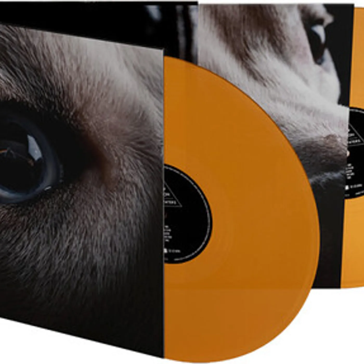 Roger Waters Dark Side Of The Moon Redux (2LP/Orange) Vinyl Record