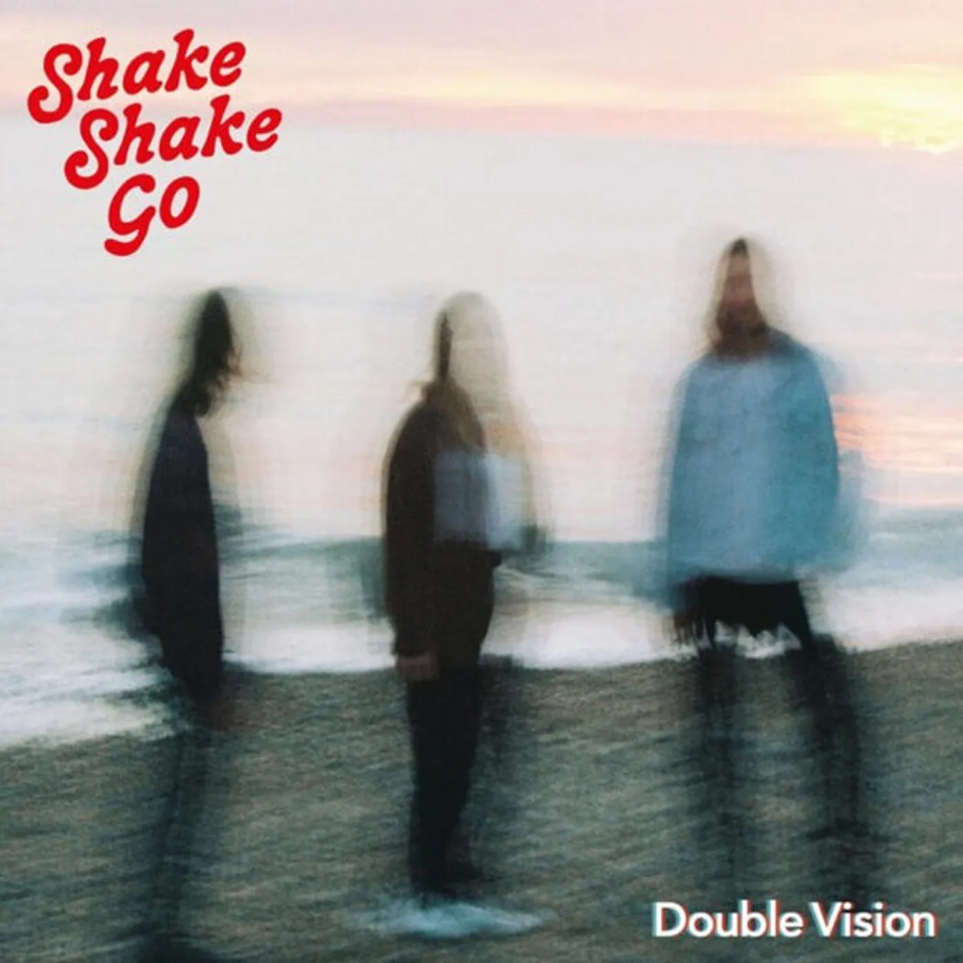 Shake Shake Go DOUBLE VISION Vinyl Record