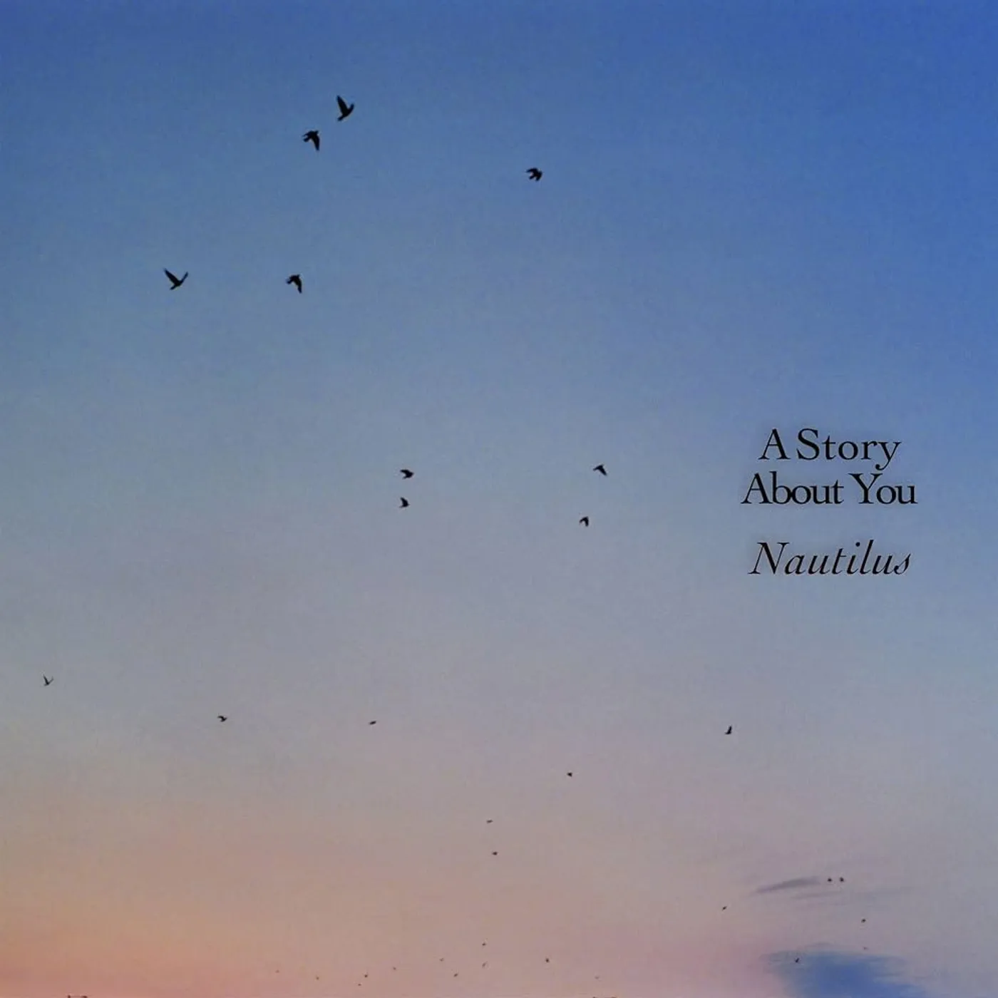 Nautilus STORY ABOUT YOU Vinyl Record