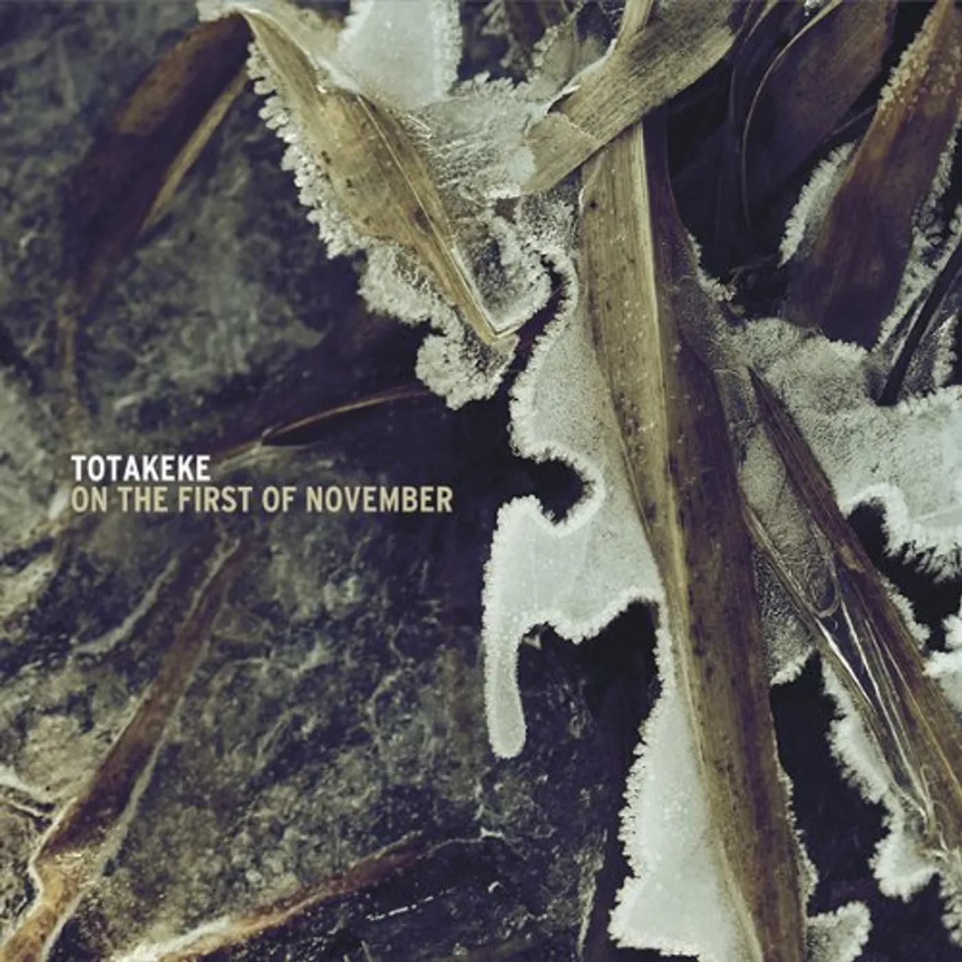 Totakeke ON THE FIRST OF NOVEMBER CD