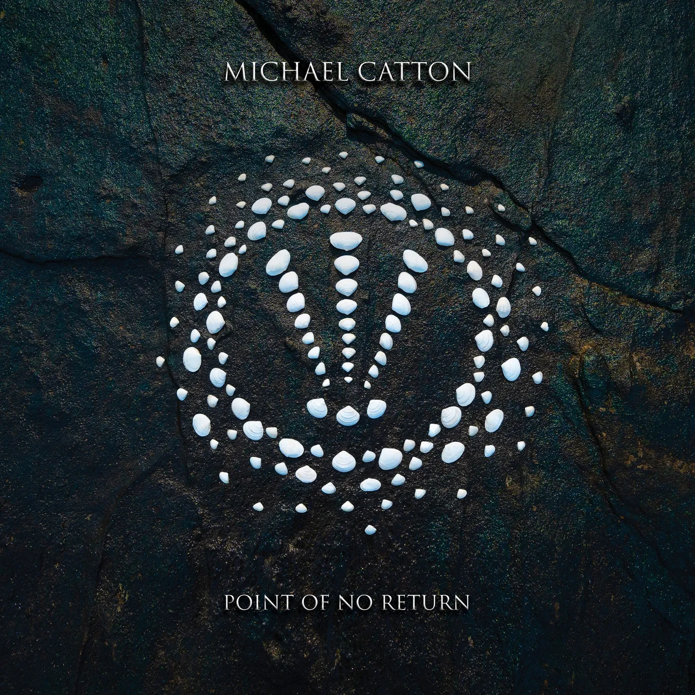 Michael Catton POINT OF NO RETURN Vinyl Record