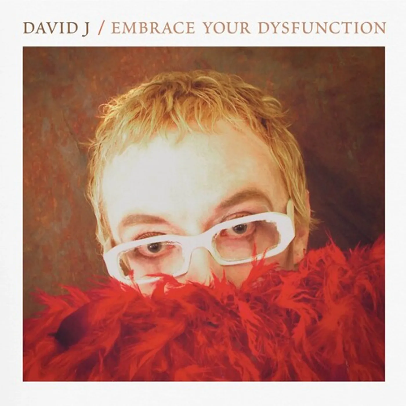 David J EMBRACE YOUR DYSFUNCTION CD