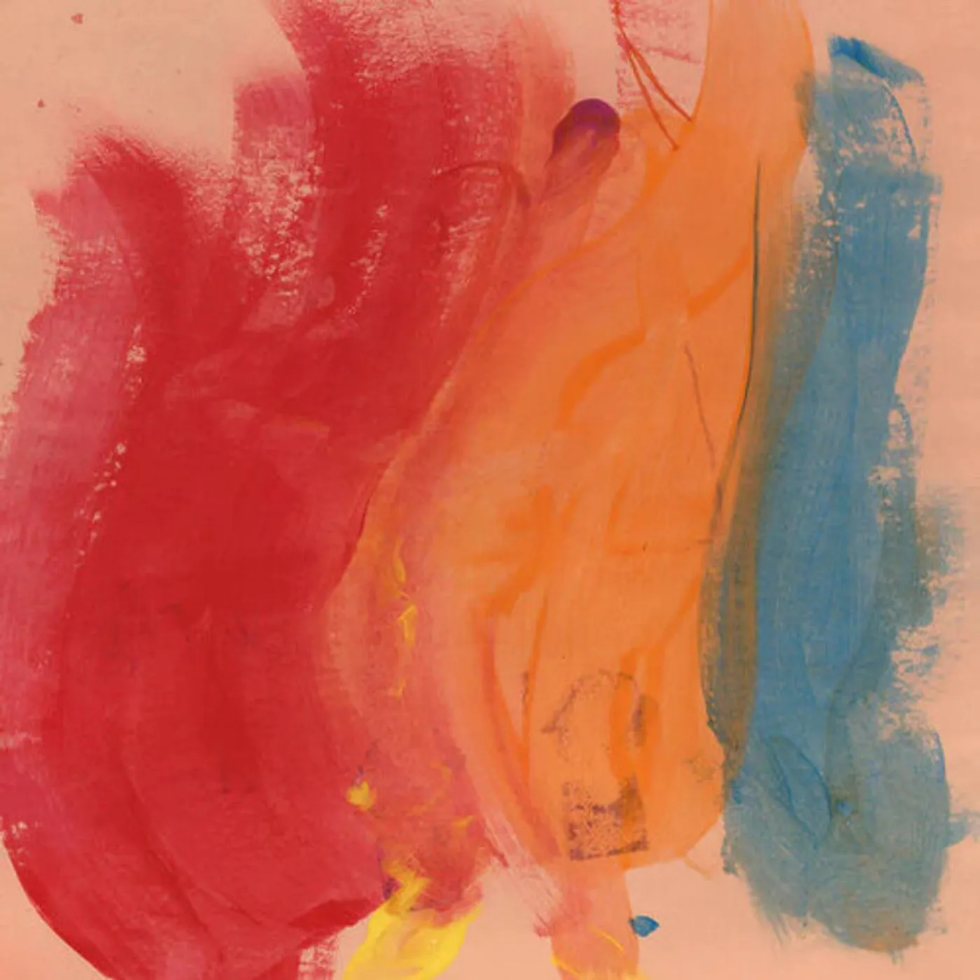 Joel Andrews PARADISE BIRD Vinyl Record