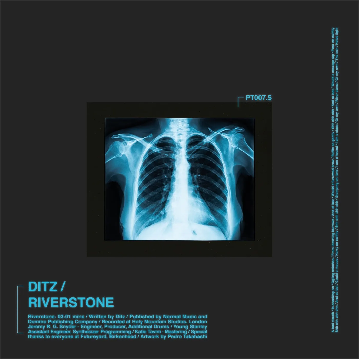 DITZ  RIVERSTONE Vinyl Record