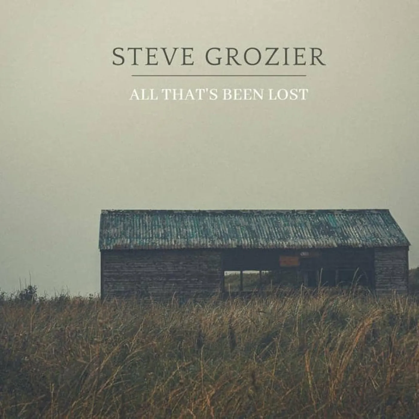 Steve Grozier ALL THAT'S BEEN LOST Vinyl Record