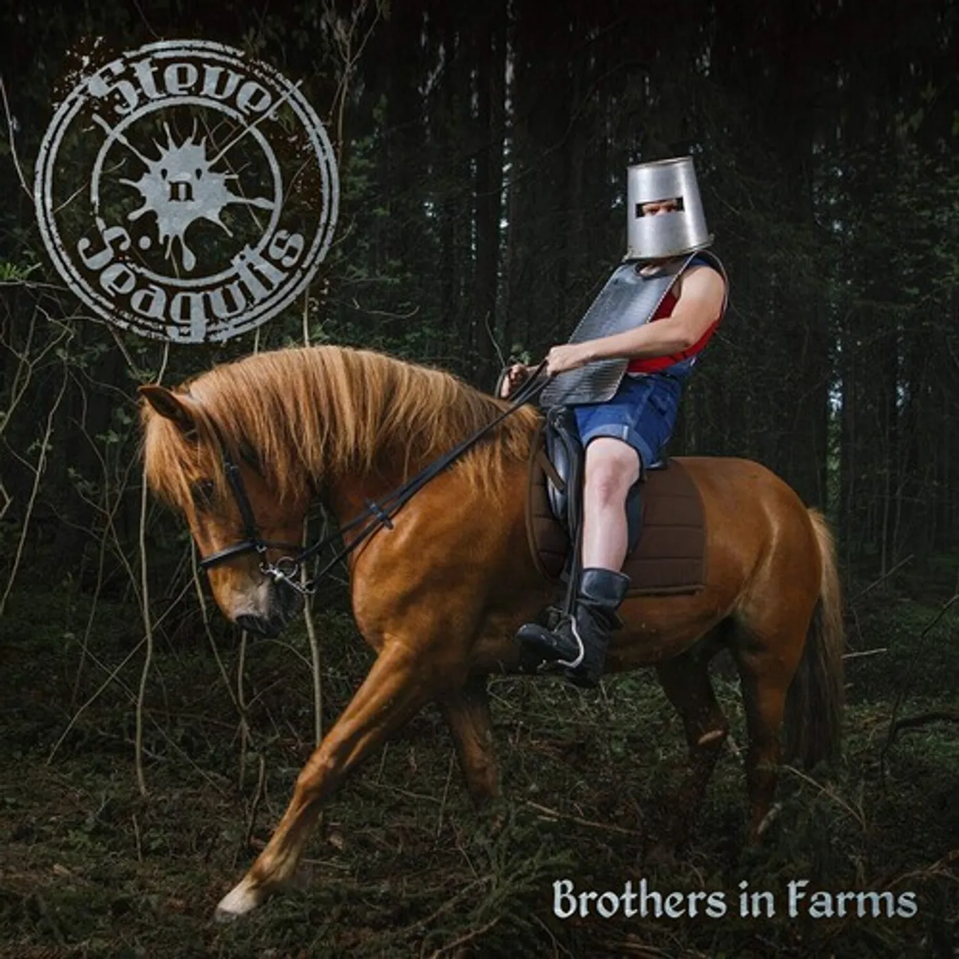 Steve ´n´ Seagulls 579156579156 BROTHERS IN FARMS CD