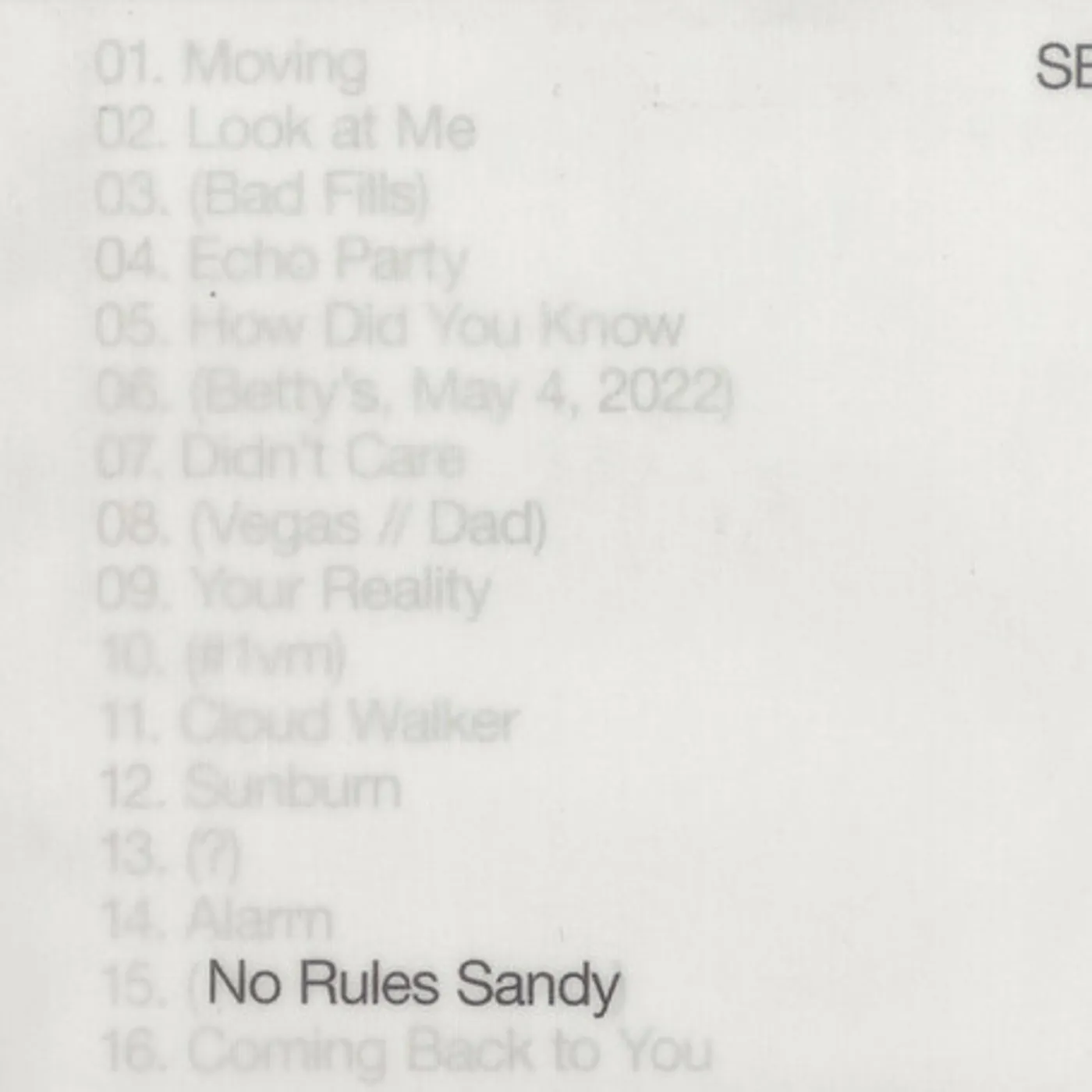 Sylvan Esso No Rules Sandy Vinyl Record