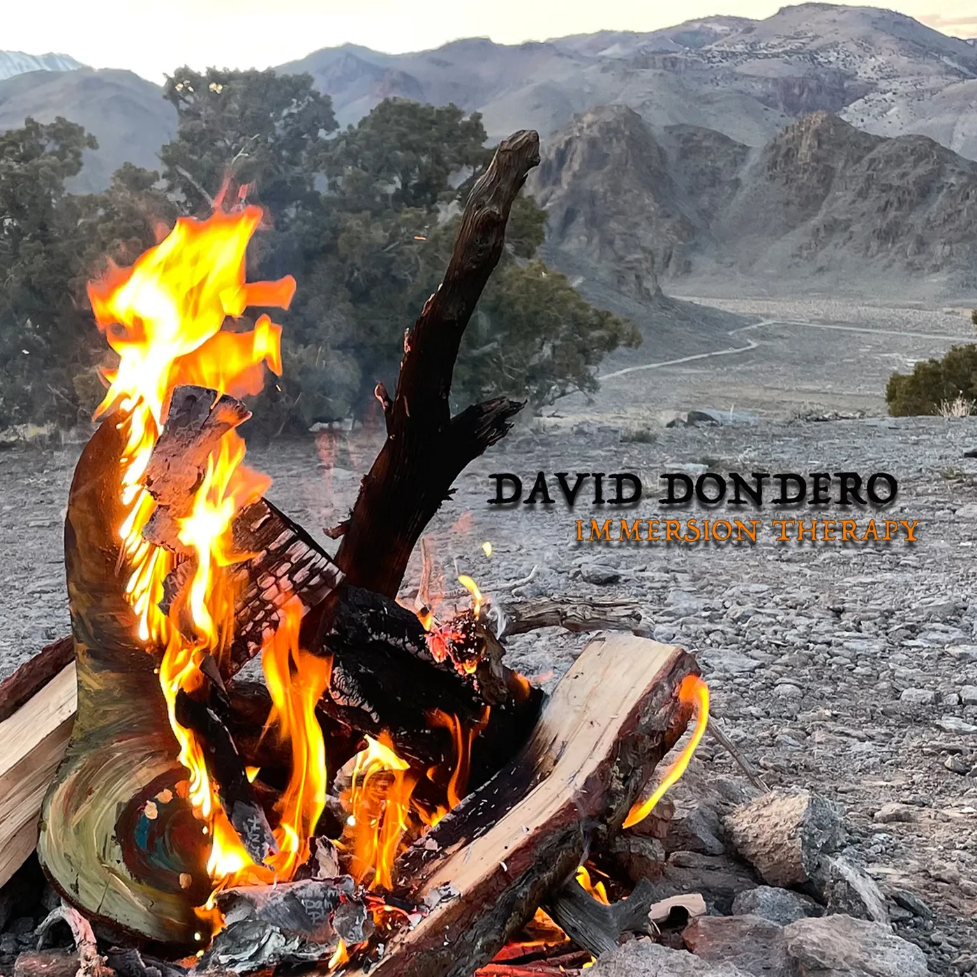 David Dondero IMMERSION THERAPY Vinyl Record