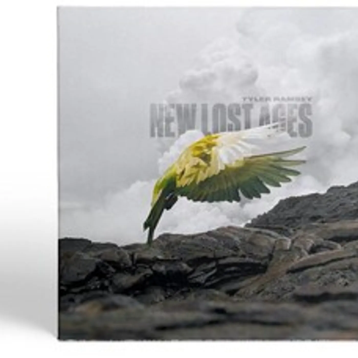 Tyler Ramsey NEW LOST AGES CD