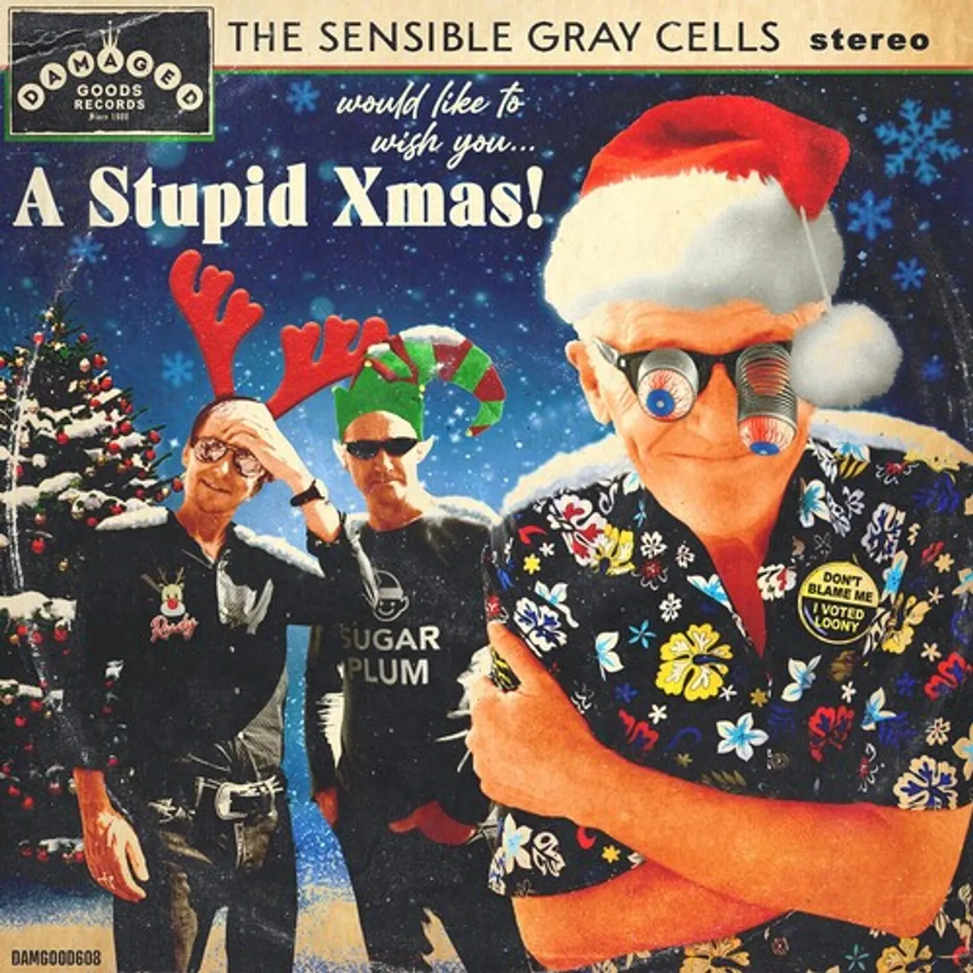 The Sensible Gray Cells STUPID XMAS Vinyl Record