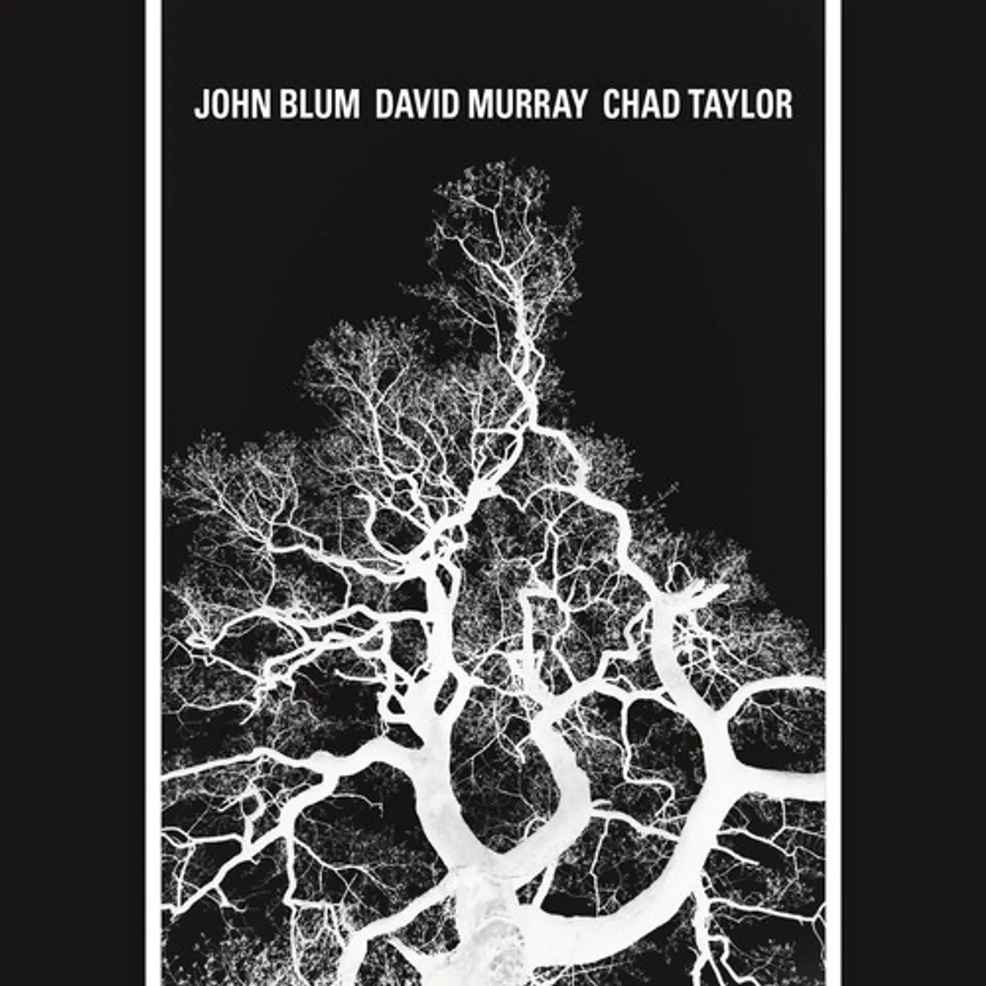 John Blum RECURSIVE TREE CD
