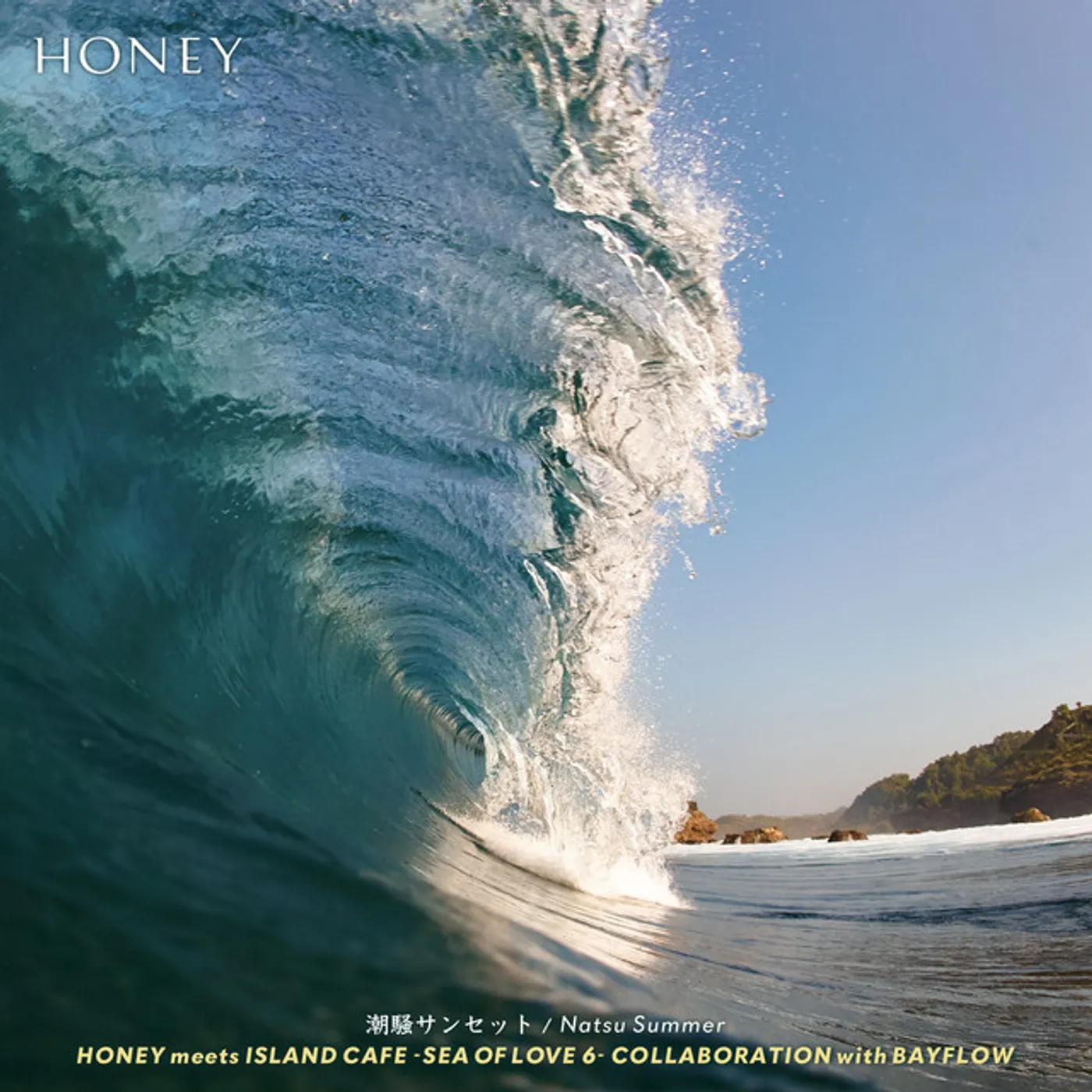 Natsu Summer SHIOSAI SUNSET Vinyl Record