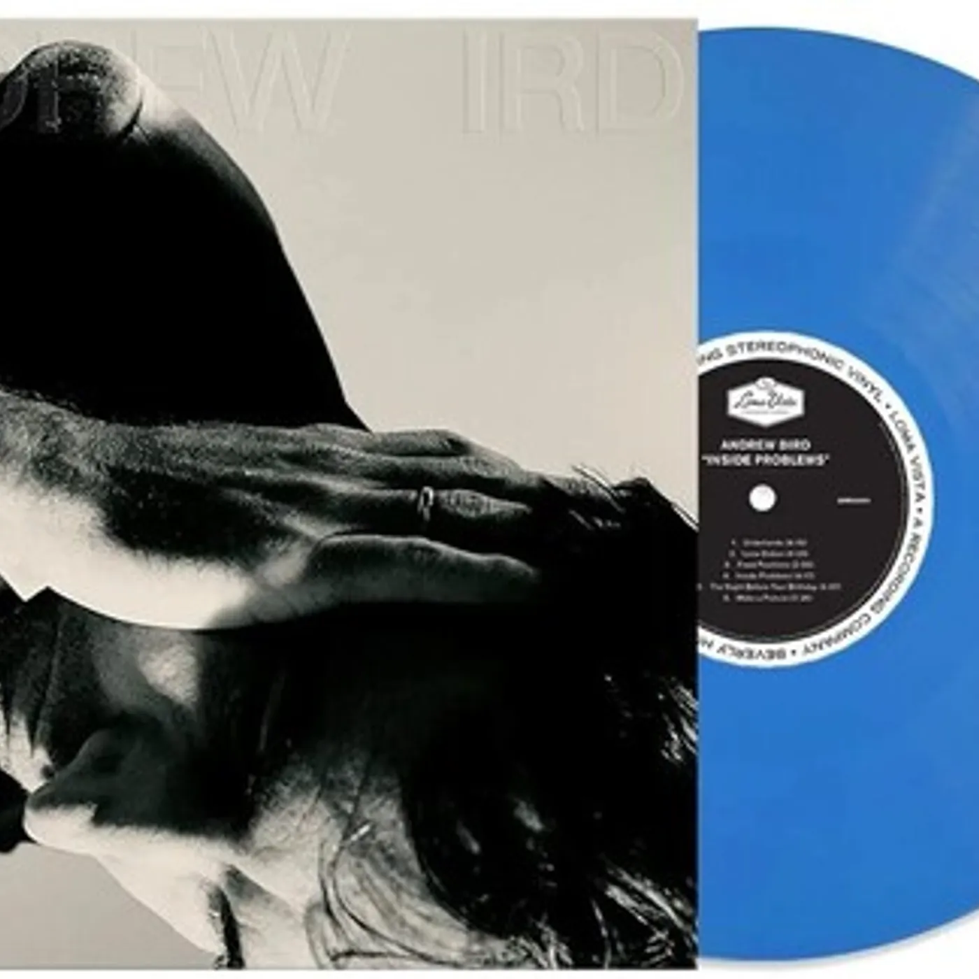 Andrew Bird INSIDE PROBLEMS Vinyl Record