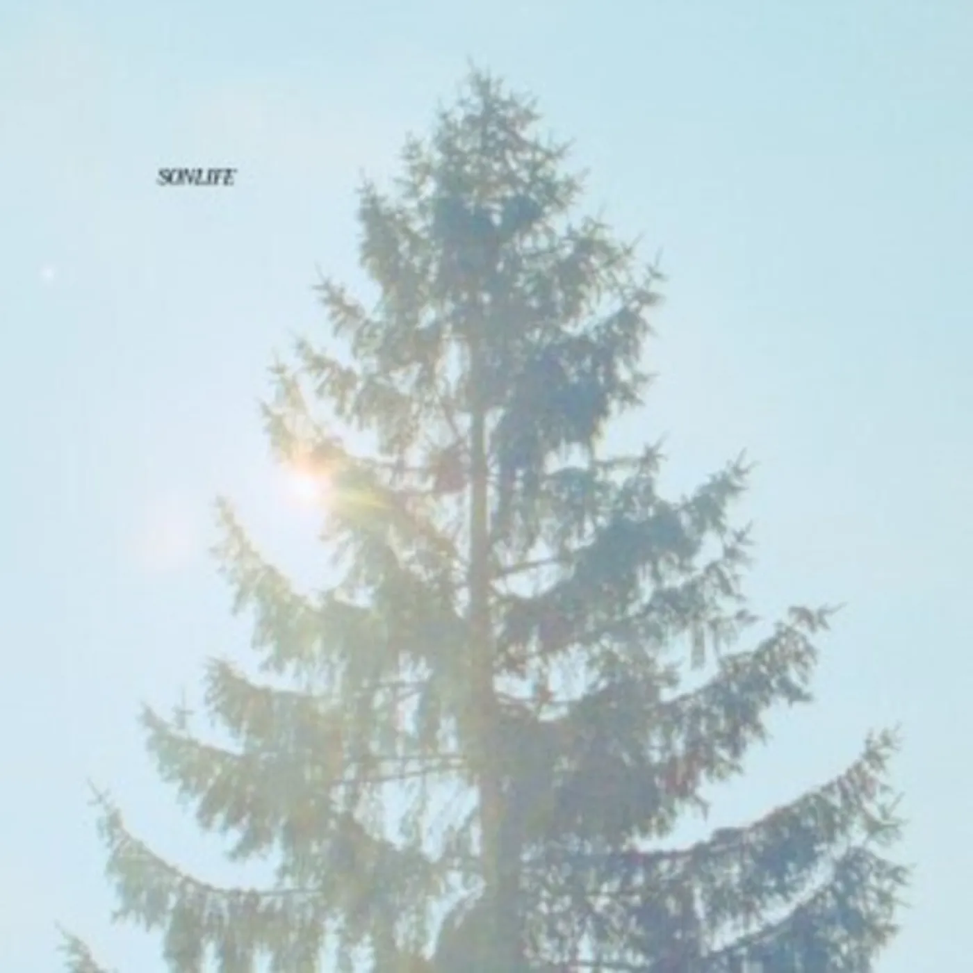 SONLIFE Vinyl Record
