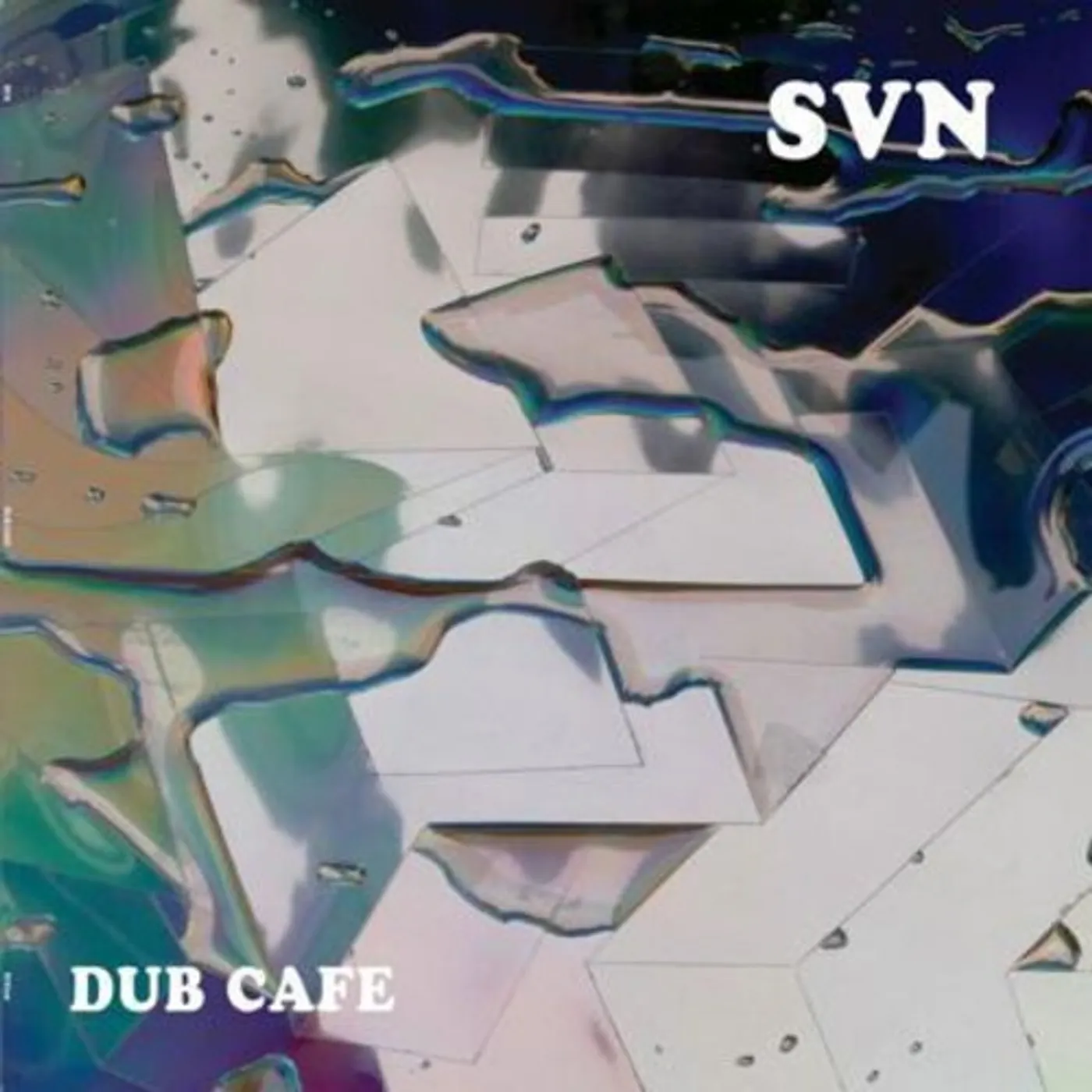 SVN DUB CAFE Vinyl Record