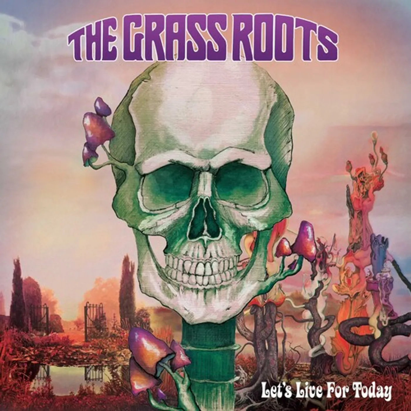 The Grass Roots LET'S LIVE FOR TODAY Vinyl Record