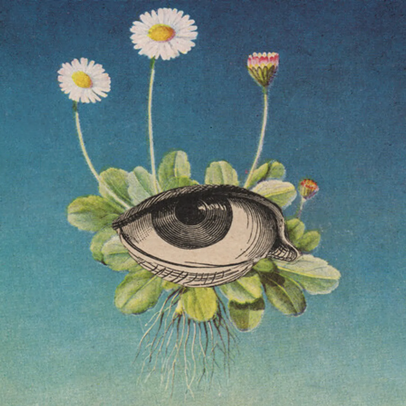 øjeRum LIMITED CIRCLE IS PURE CD