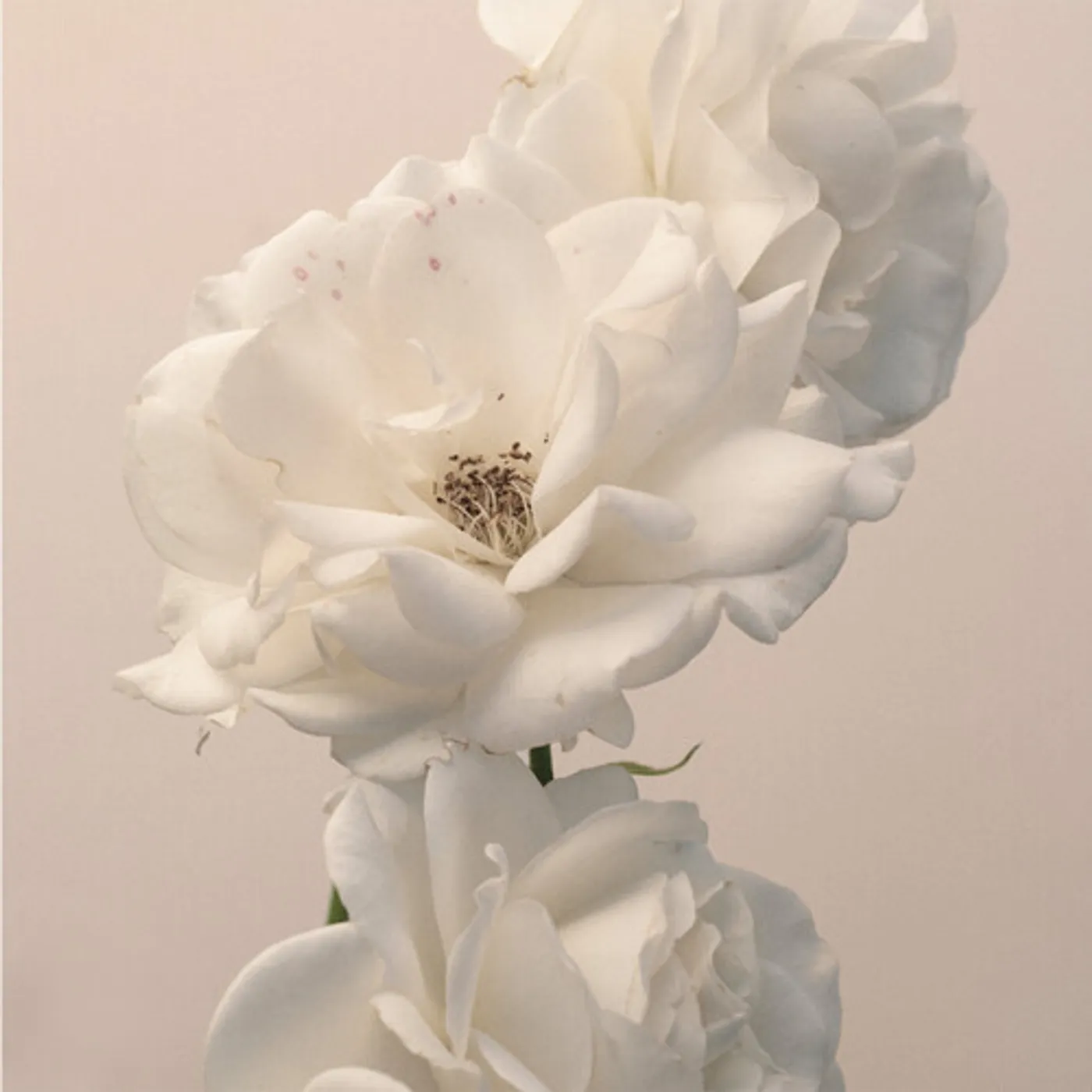 Imminence TURN THE LIGHT ON: ACOUSTIC REIMAGINATION V2 CD