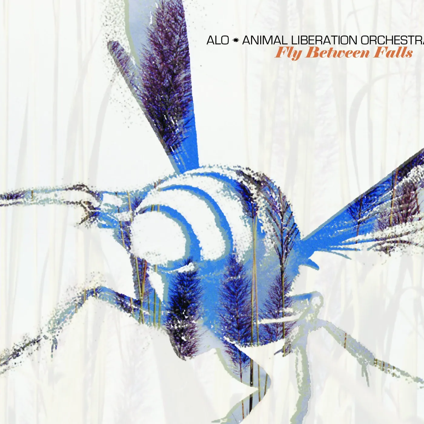 ALO FLY BETWEEN FALLS Vinyl Record