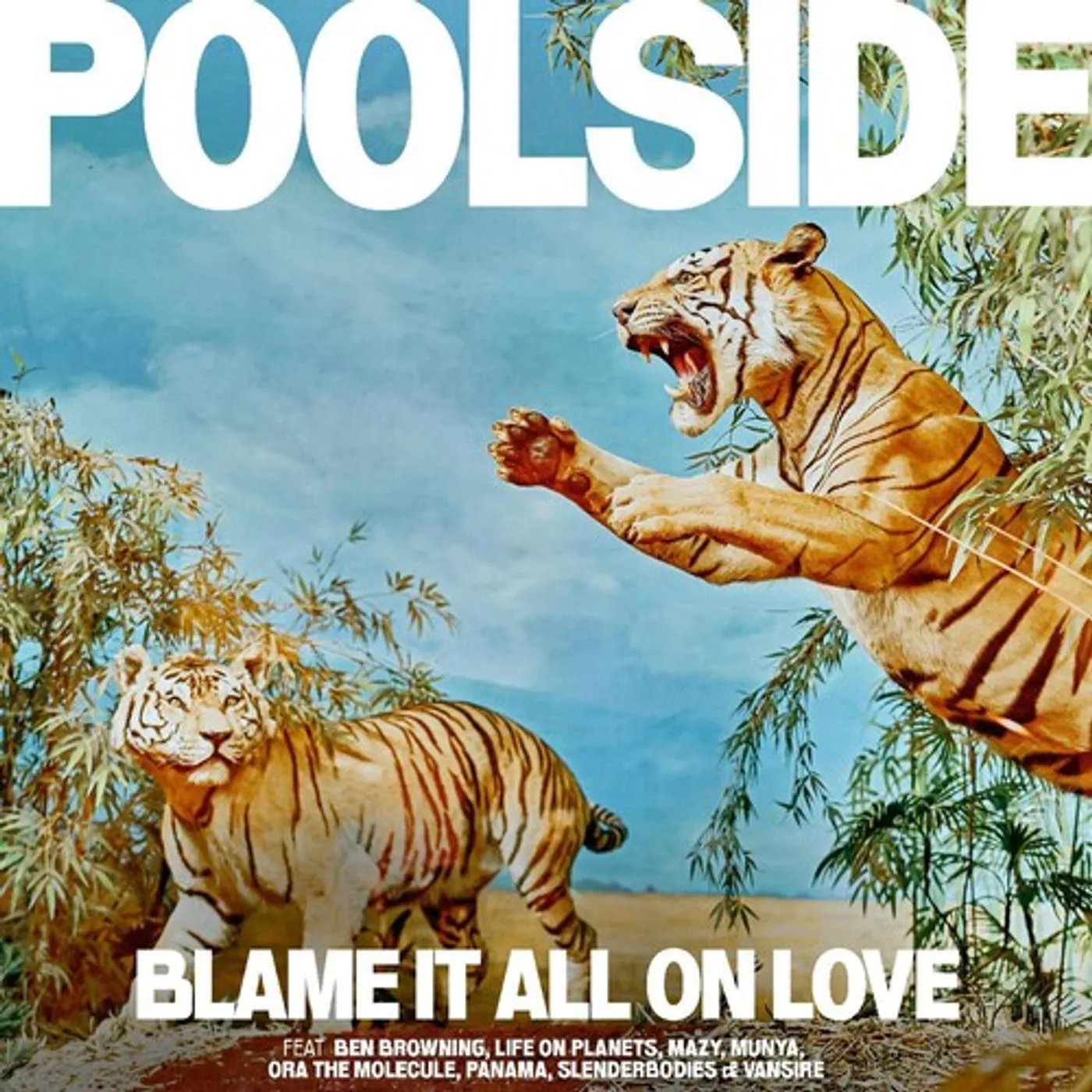 Poolside Blame It All On Love Vinyl Record