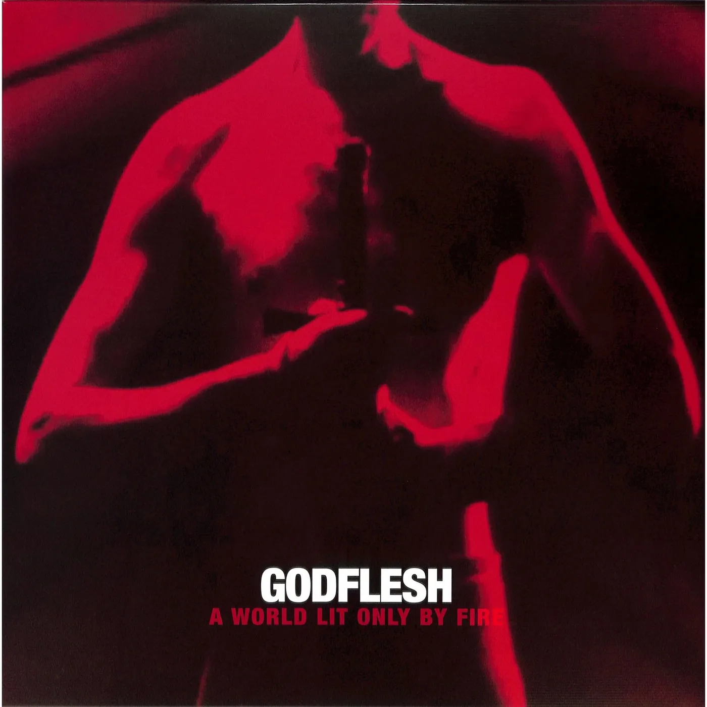 Godflesh A World Only Lit By Fire Vinyl Record