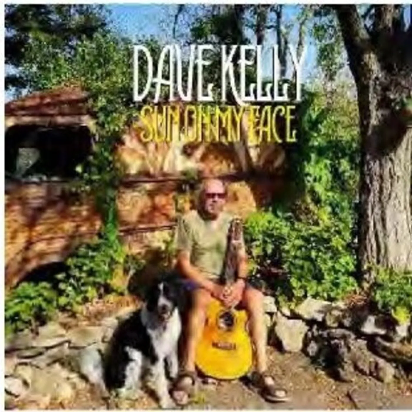 Dave Kelly SUN ON MY FACE CD