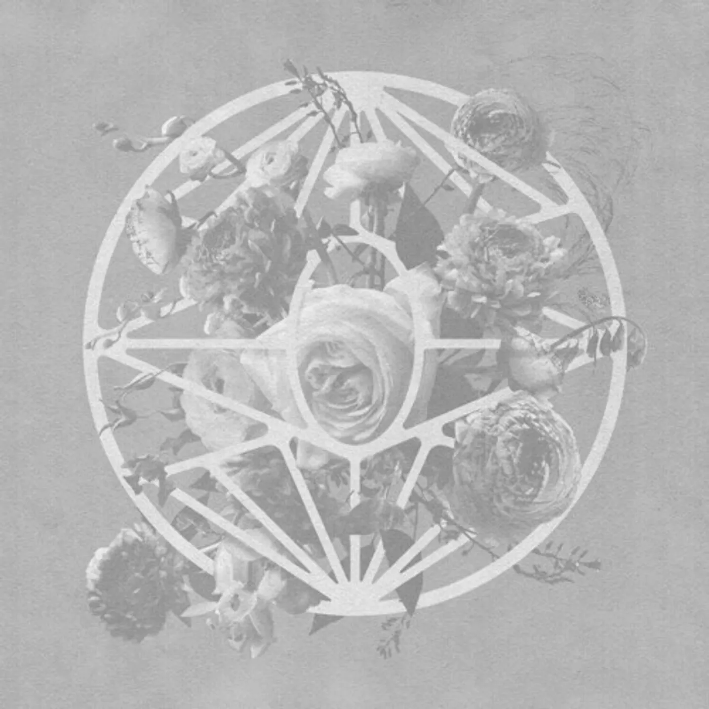 Imminence TURN THE LIGHT ON CD