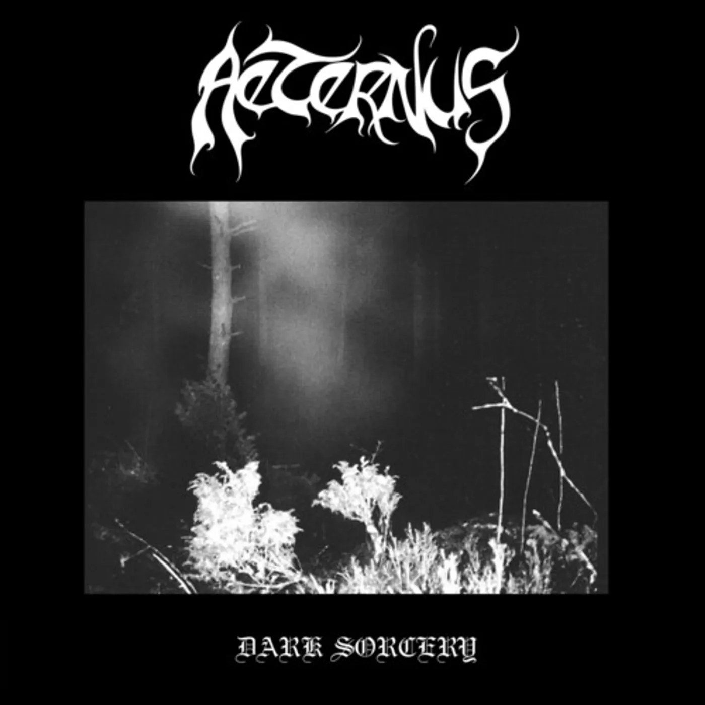 Aeternus Dark Sorcery Vinyl Record