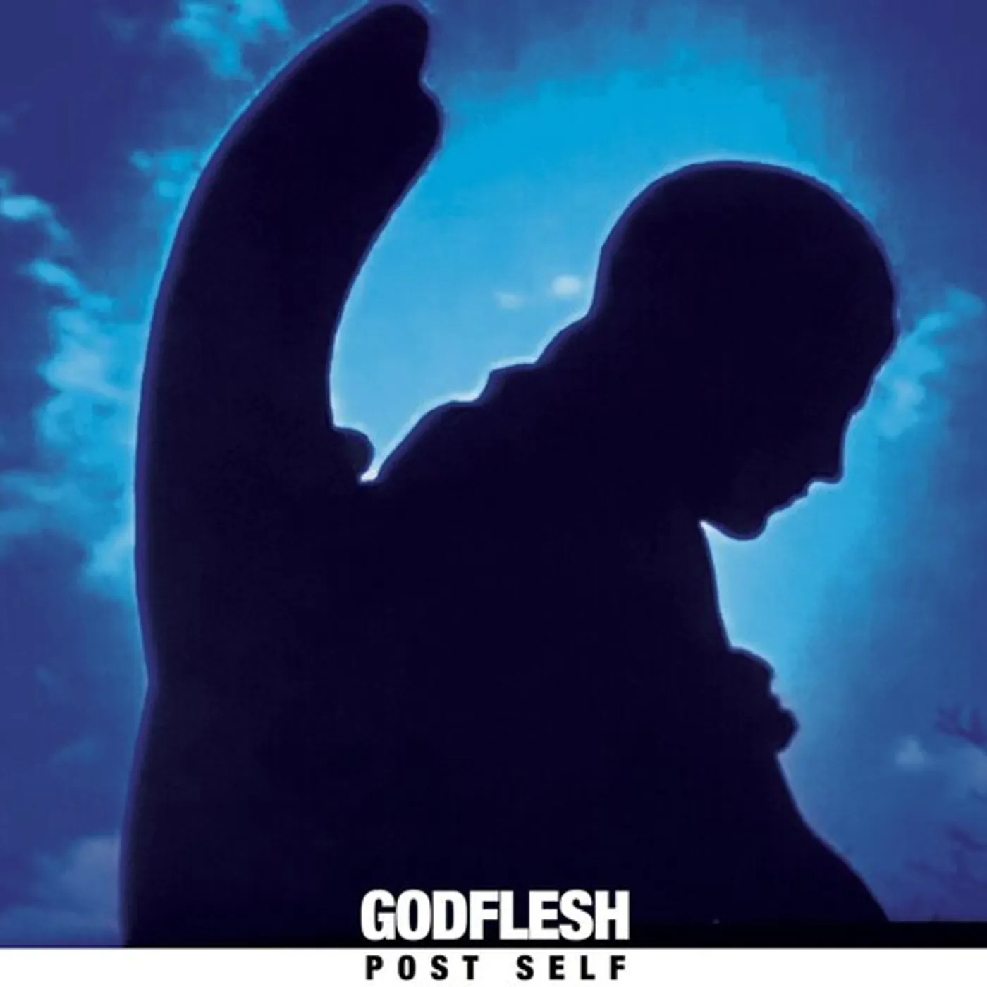 Godflesh Post Self Vinyl Record