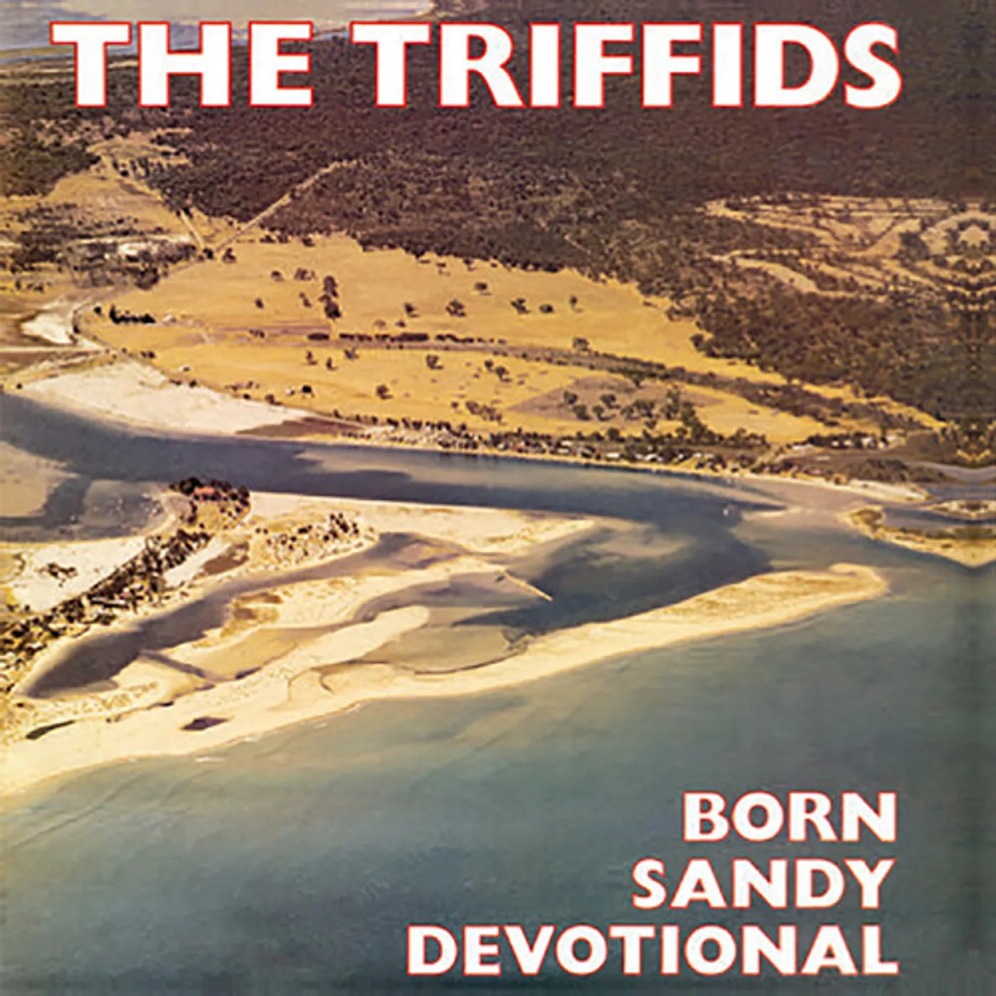 The Triffids BORN SANDY DEVOTIONAL Vinyl Record