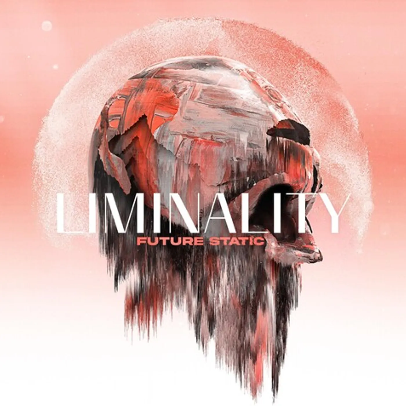 Future Static Liminality Vinyl Record