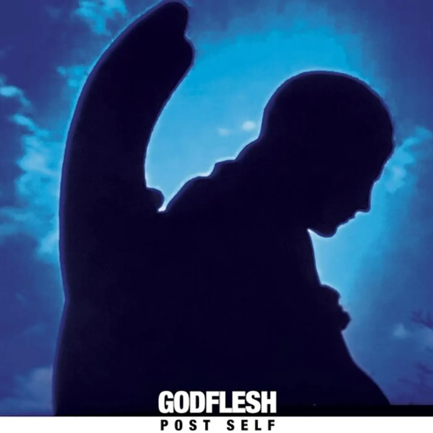 Godflesh Post Self Vinyl Record