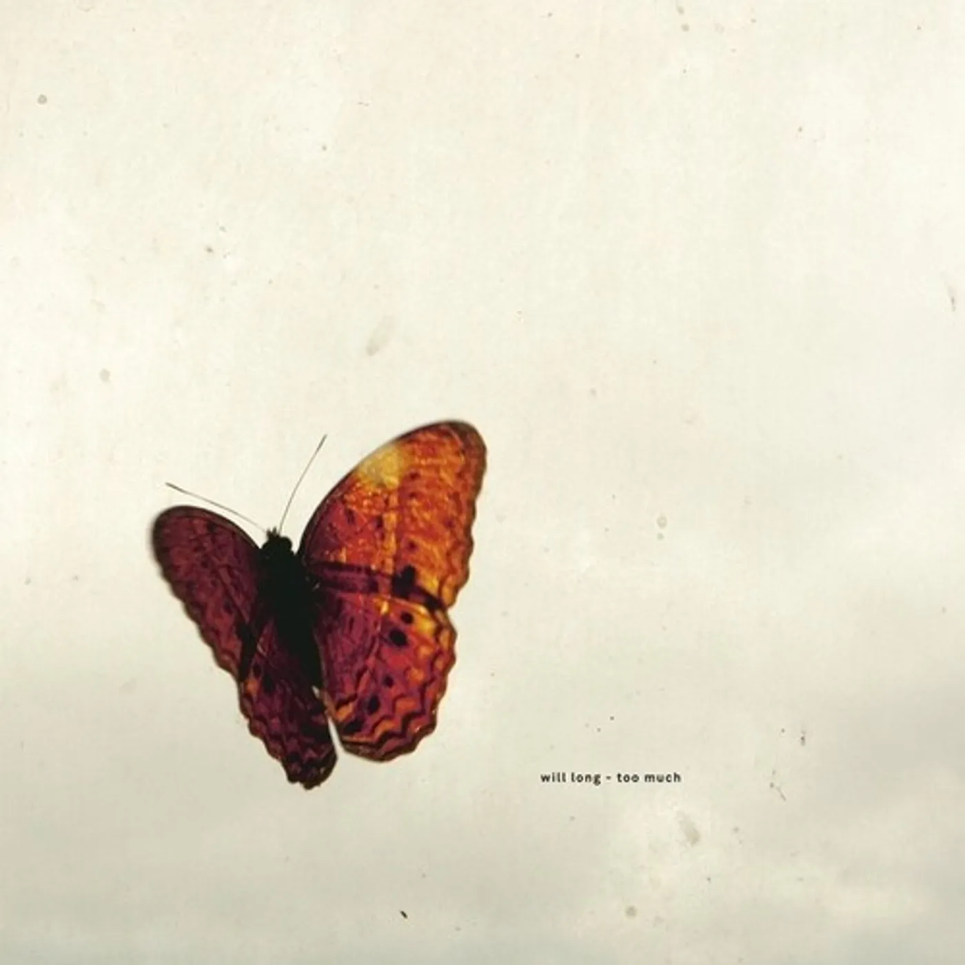 Will Long Too Much Vinyl Record