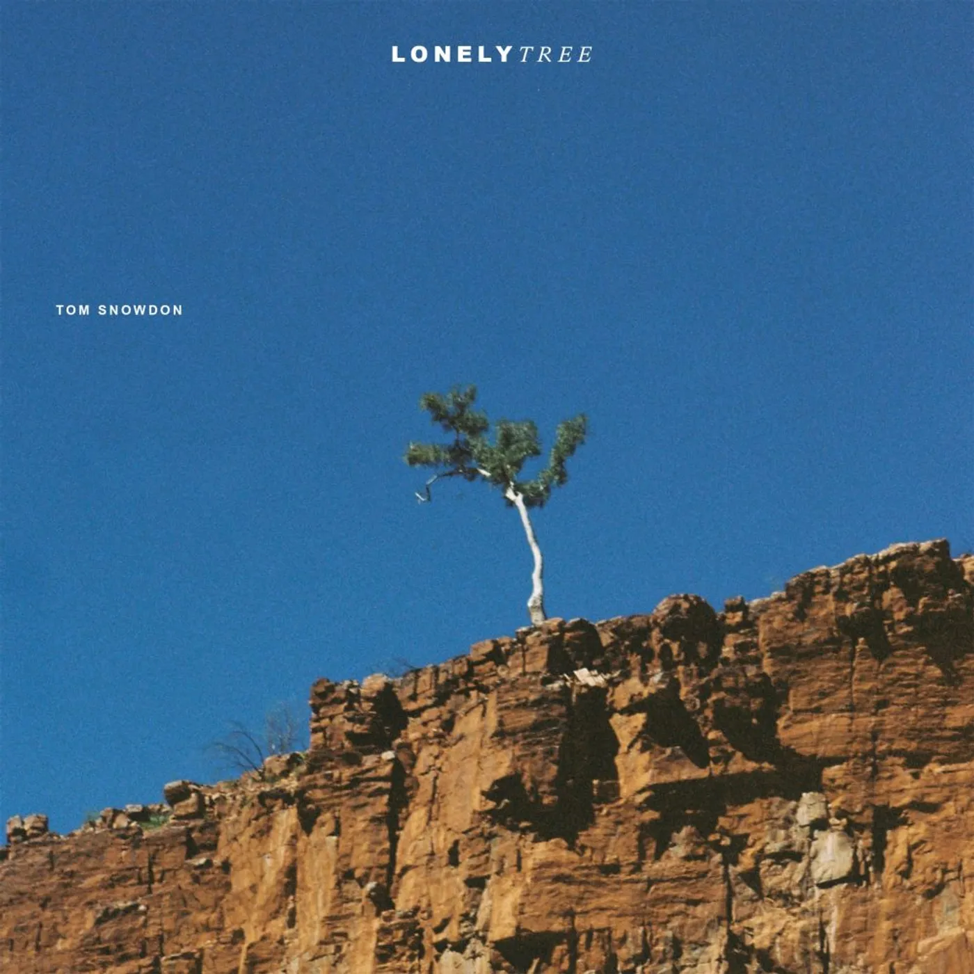 Tom Snowdon LONELY TREE Vinyl Record