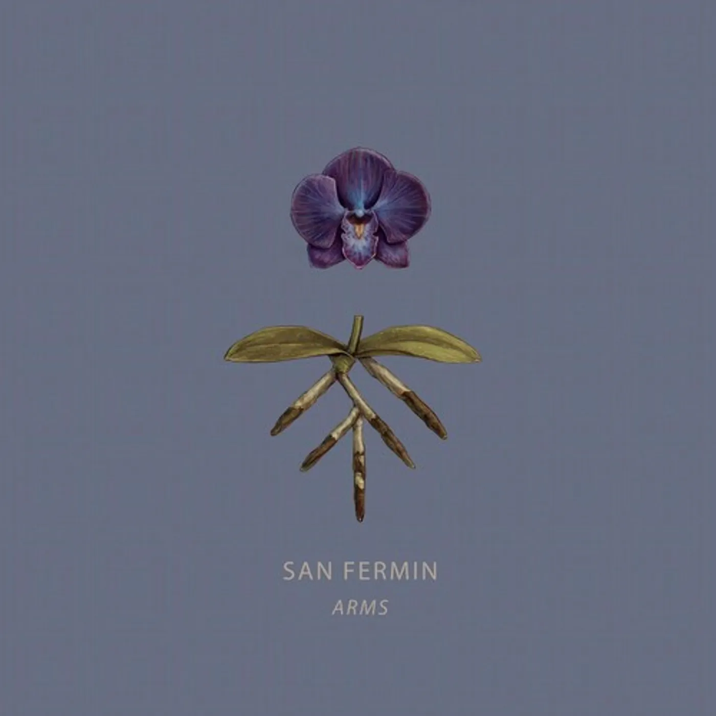 San Fermin Arms Vinyl Record