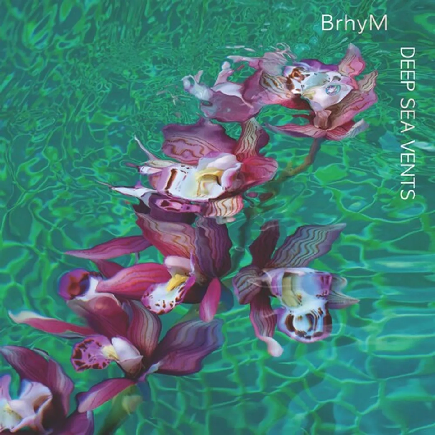 BrhyM DEEP SEA VENTS Vinyl Record