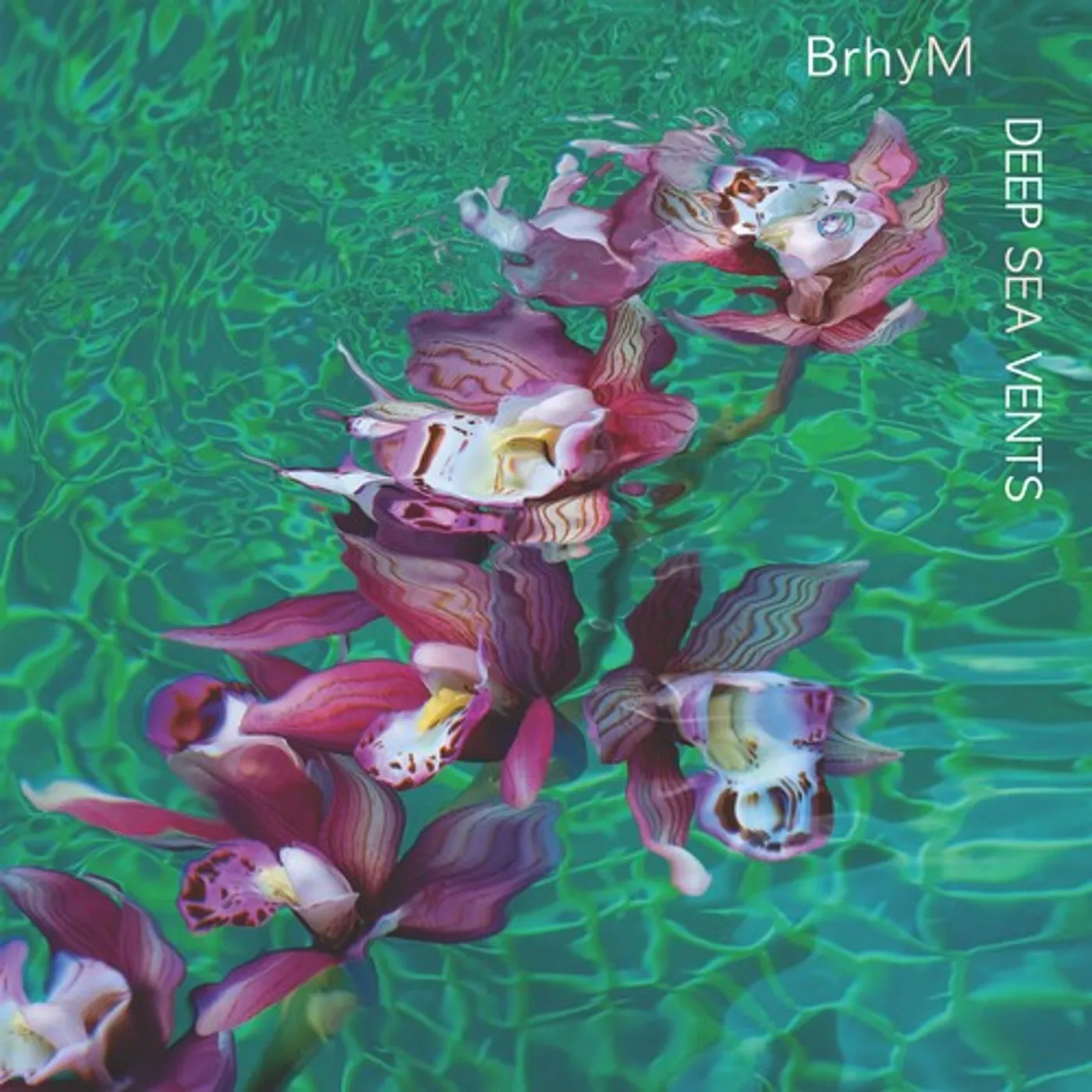 BrhyM DEEP SEA VENTS CD