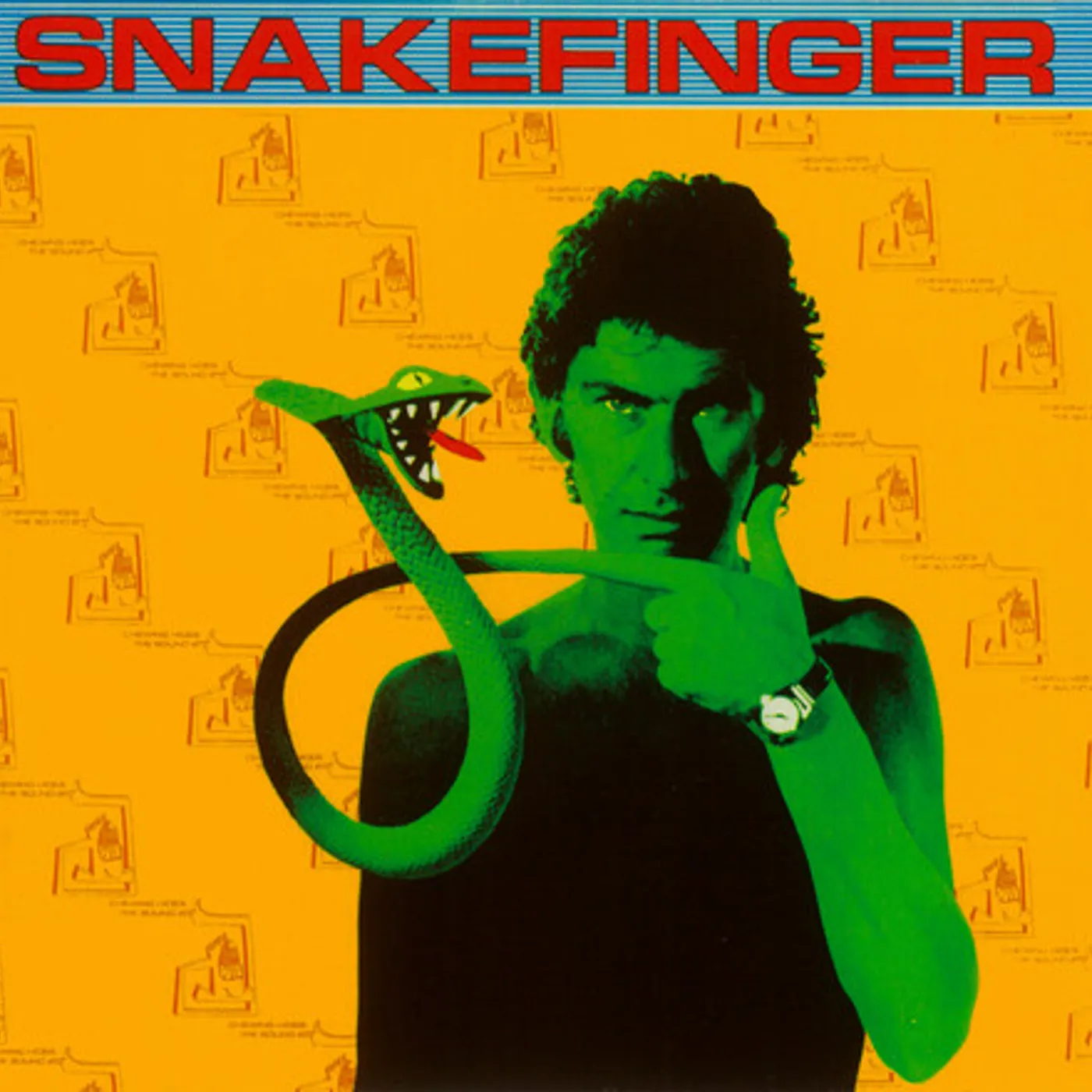 Snakefinger CHEWING HIDES THE SOUND CD