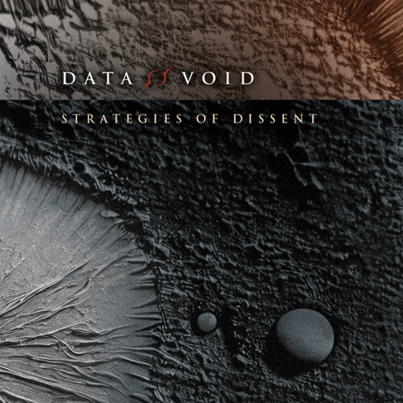 Data Void STRATEGIES OF DISSENT CD