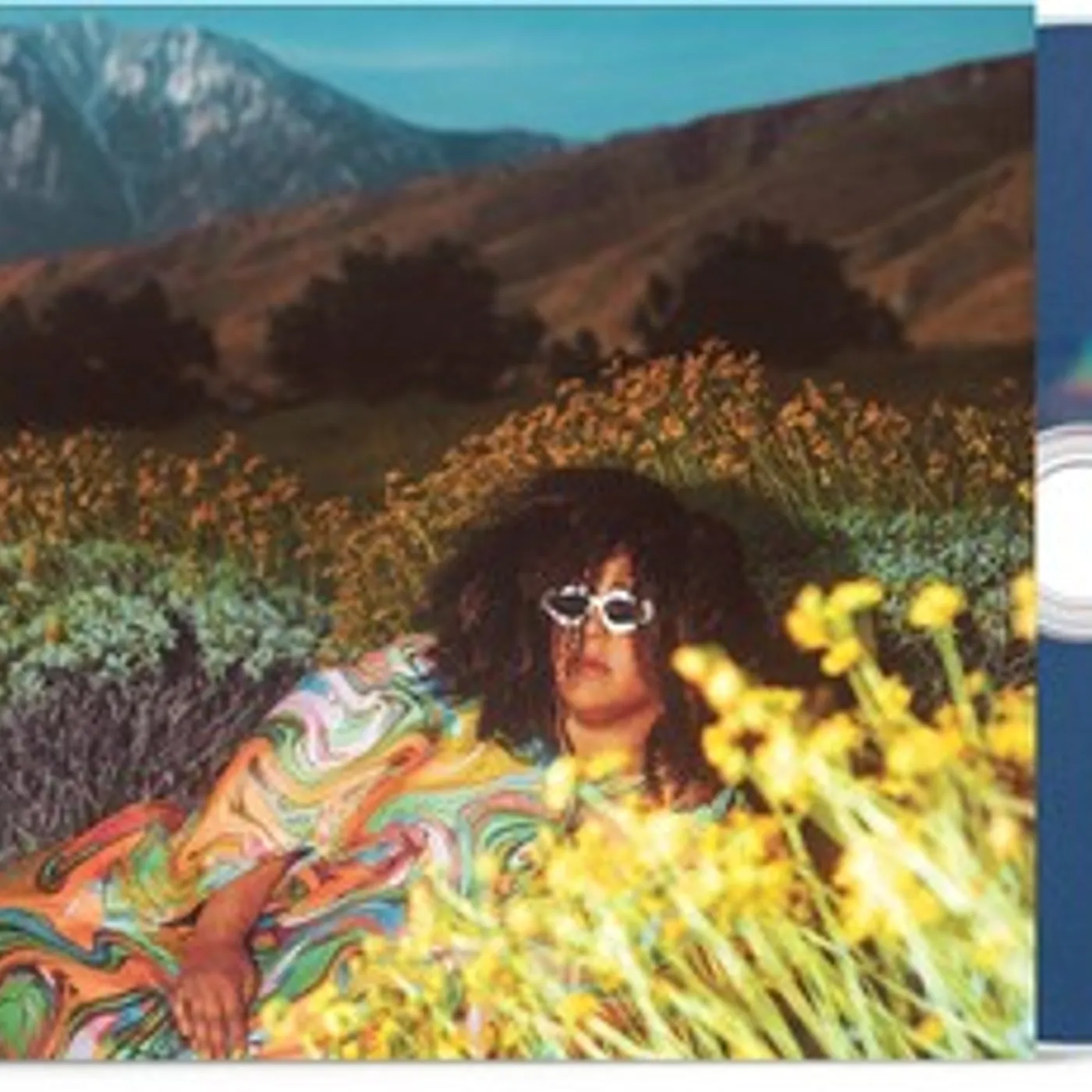 Brittany Howard WHAT NOW CD