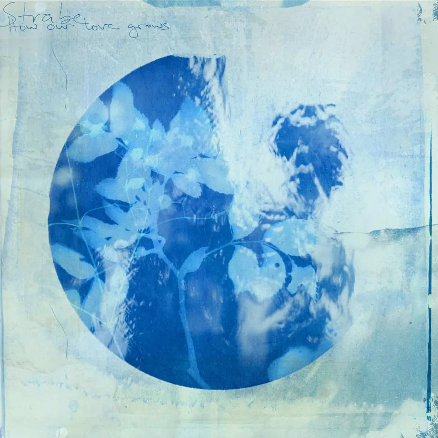 STRABE HOW OUR LOVE GROWS Vinyl Record