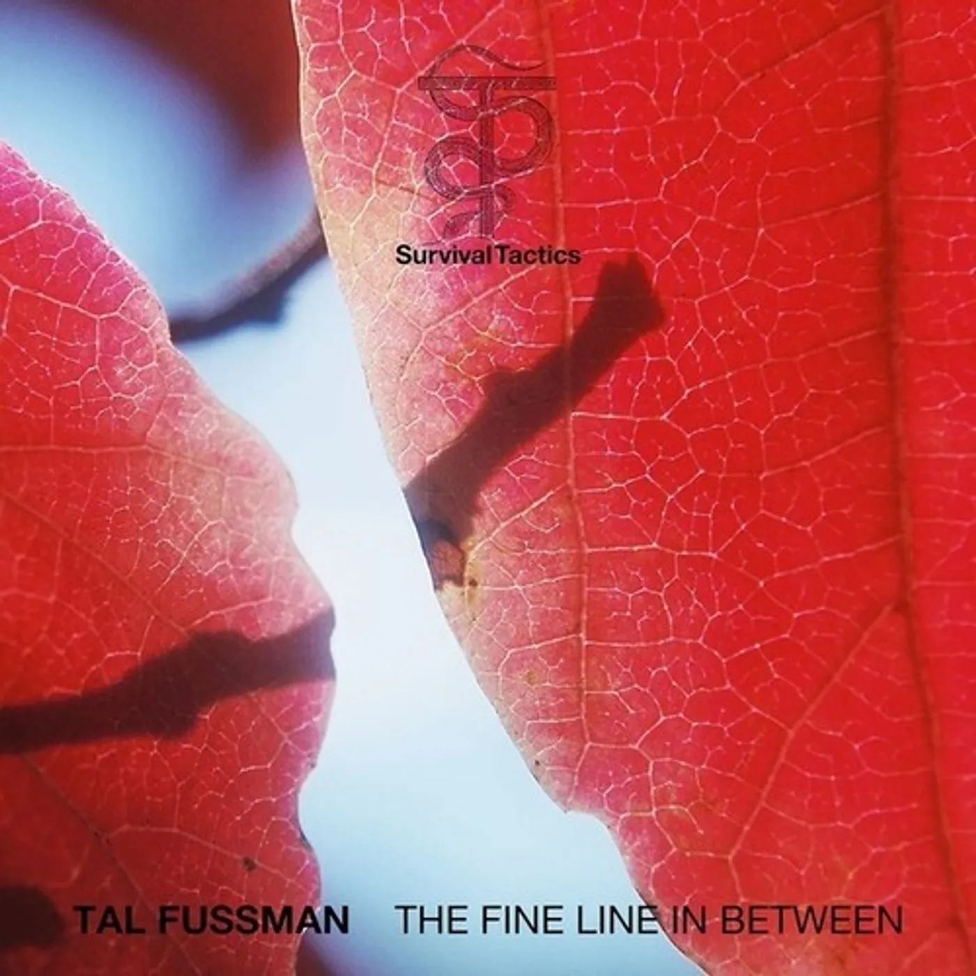 Tal Fussman FINE LINE IN BETWEEN Vinyl Record