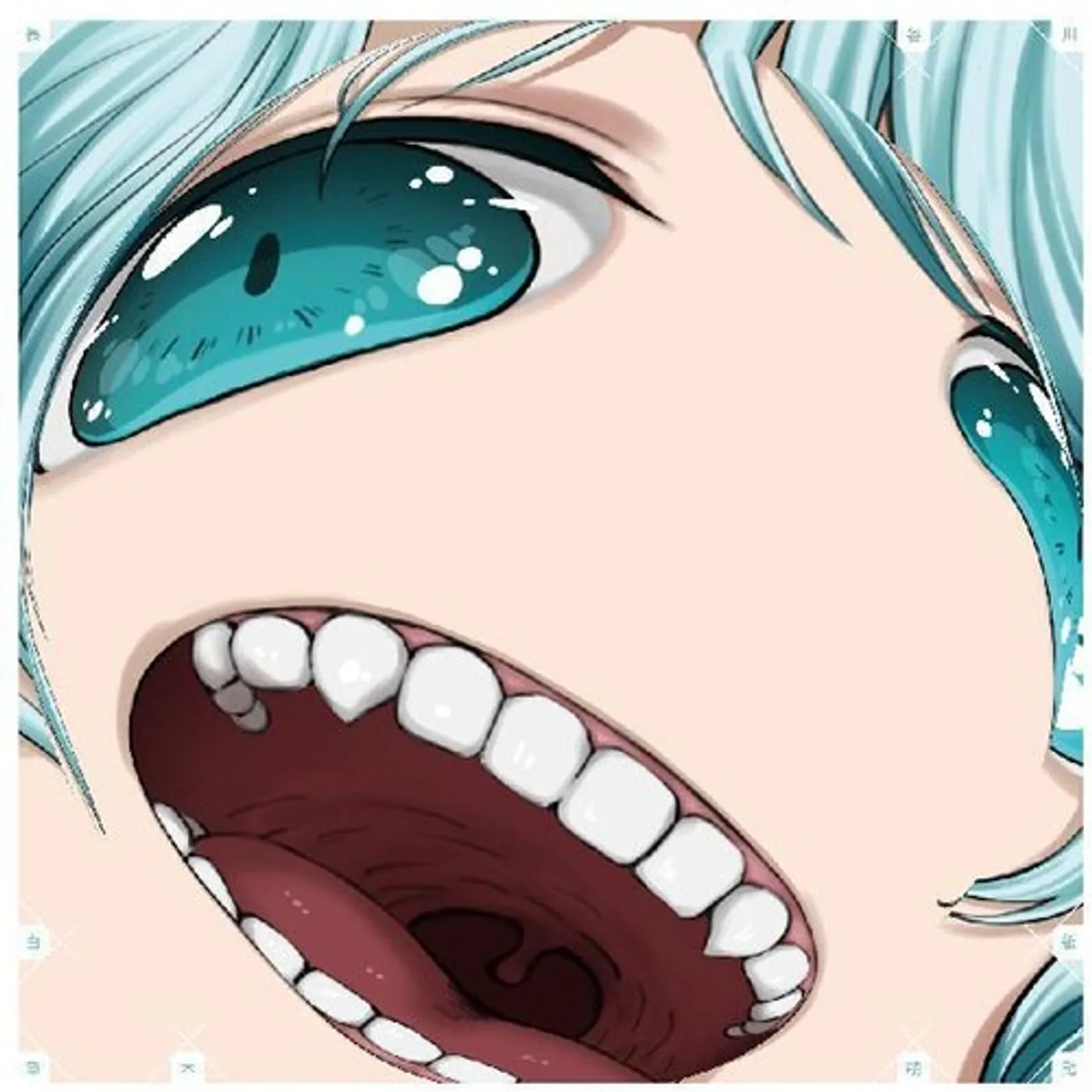 Hakushi Hasegawa SOMOKU HODO Vinyl Record