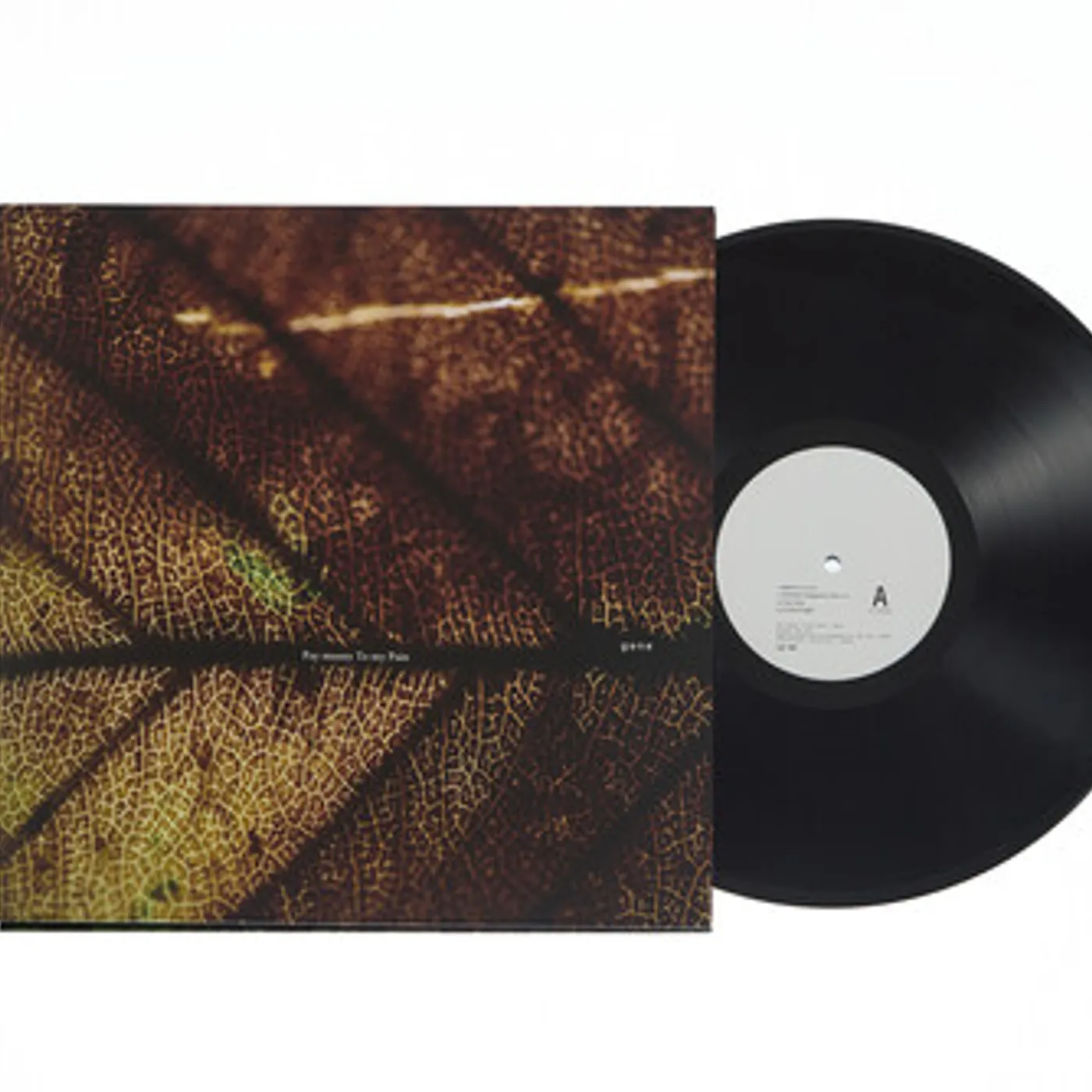 Pay money To my Pain GENE Vinyl Record