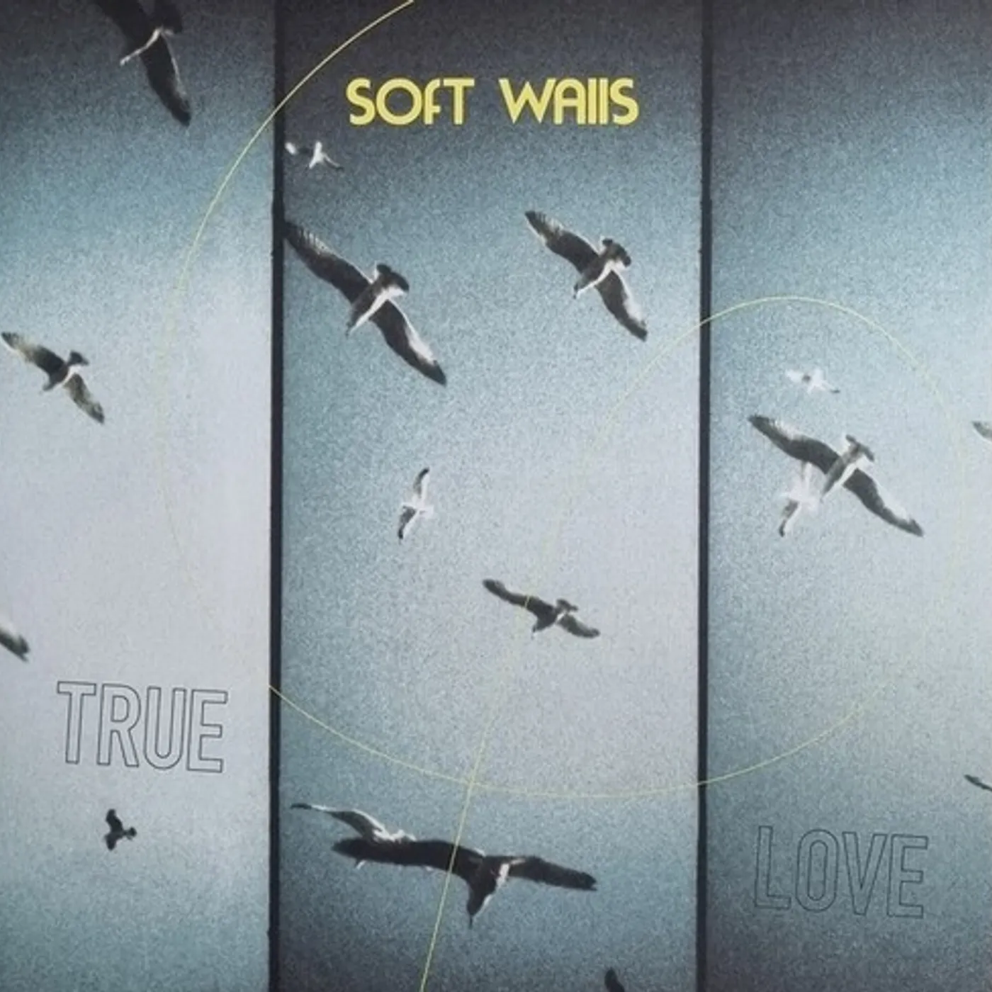 The Soft Walls TRUE LOVE Vinyl Record