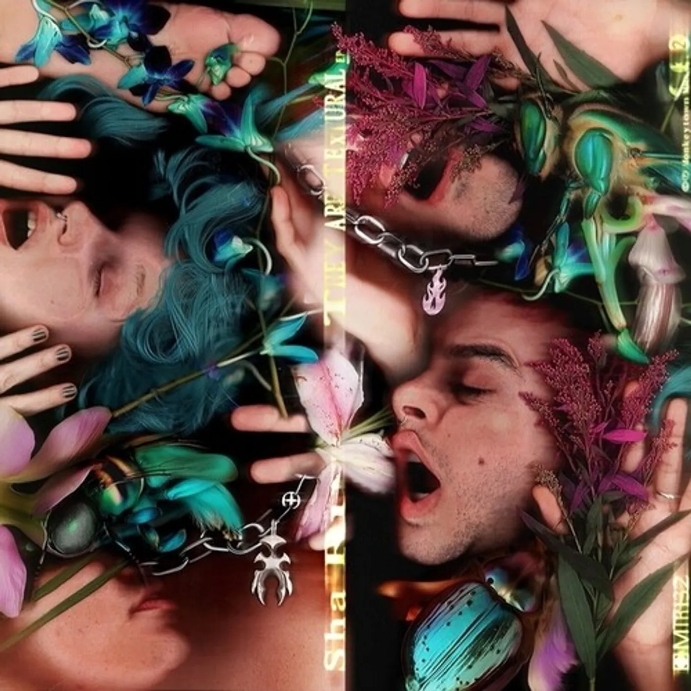 Sha Ru They Are Textural Vinyl Record