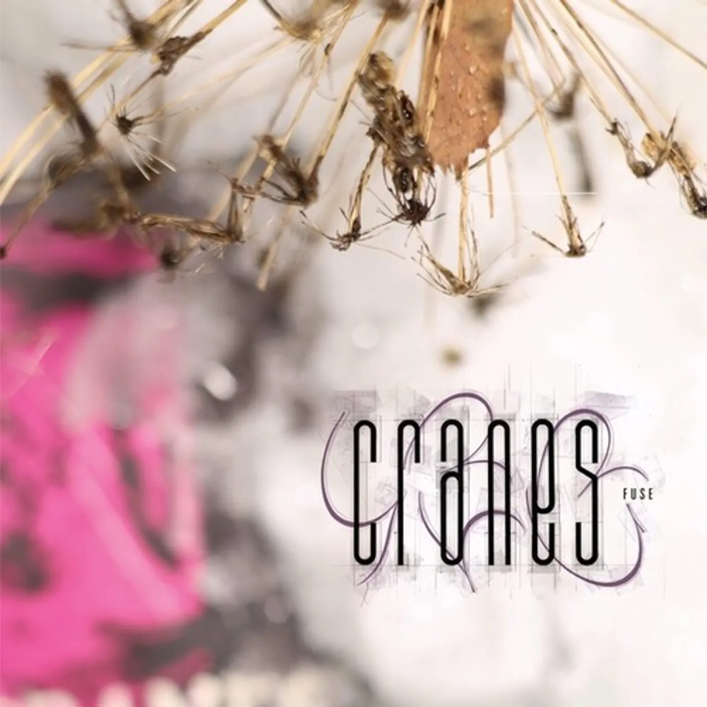 Cranes FUSE Vinyl Record