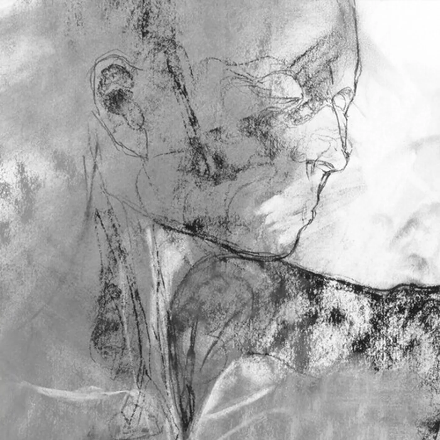 Mike Parker Dispatches (3LP) Vinyl Record